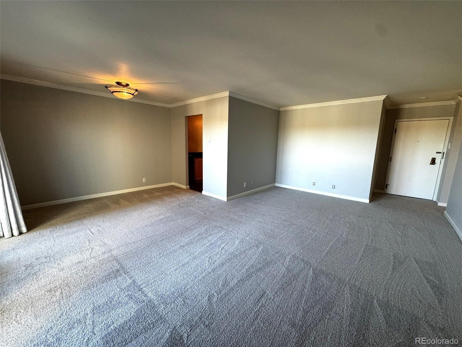 MLS Image #9 for 460 s marion parkway 1302,denver, Colorado