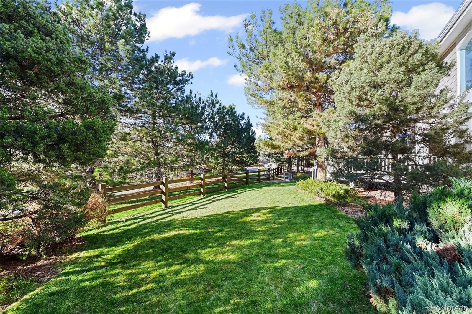 MLS Image #32 for 10107  riverstone drive,parker, Colorado