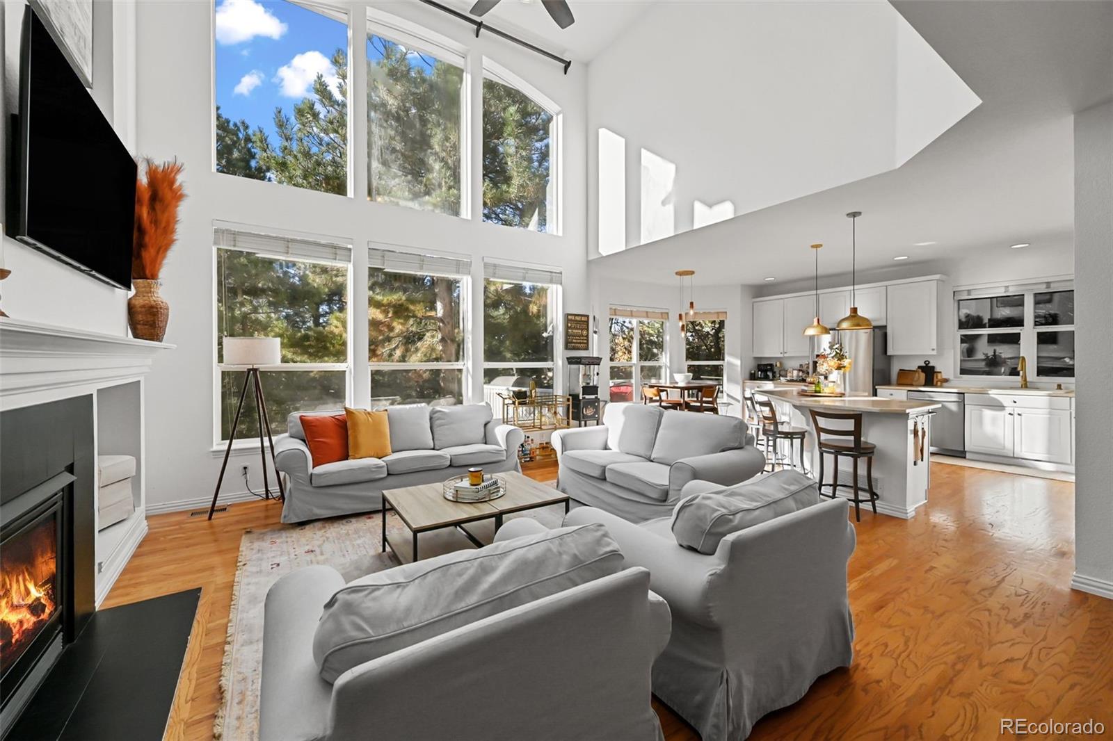 MLS Image #6 for 10107  riverstone drive,parker, Colorado