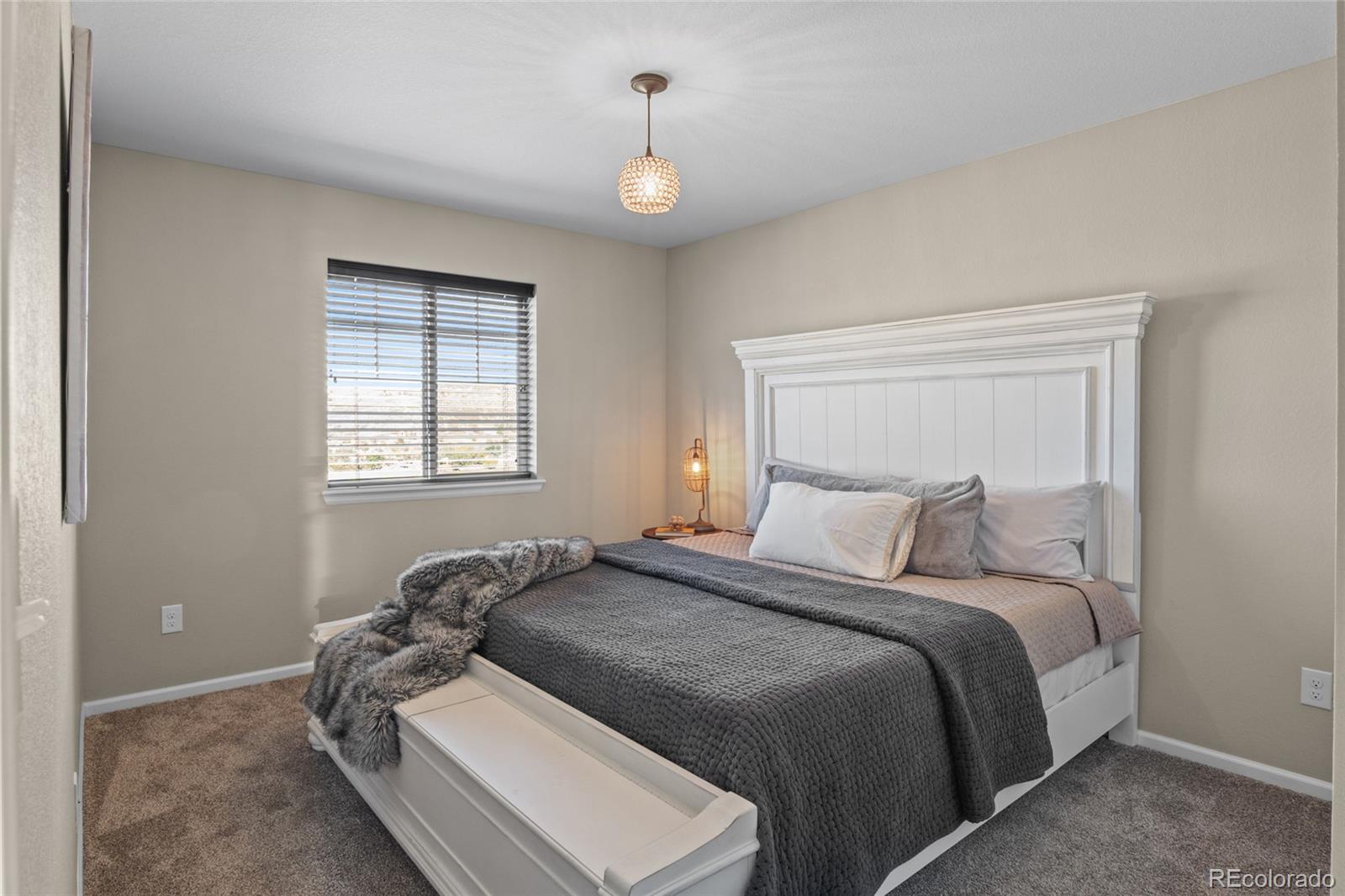 MLS Image #16 for 2579  loon circle,castle rock, Colorado