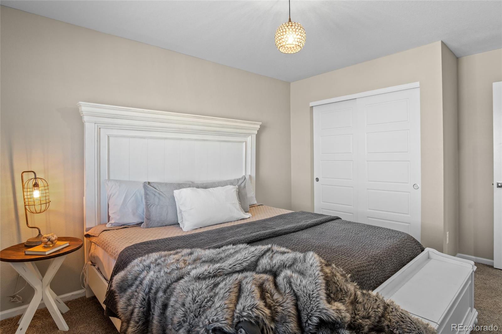 MLS Image #17 for 2579  loon circle,castle rock, Colorado