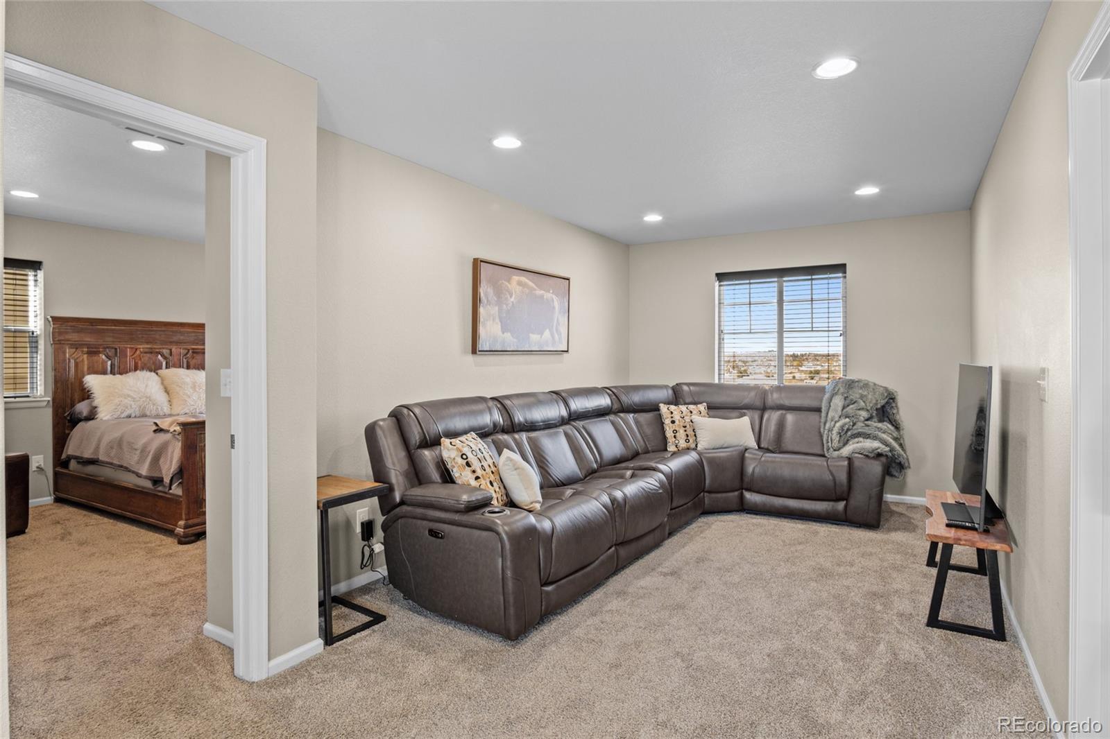 MLS Image #19 for 2579  loon circle,castle rock, Colorado