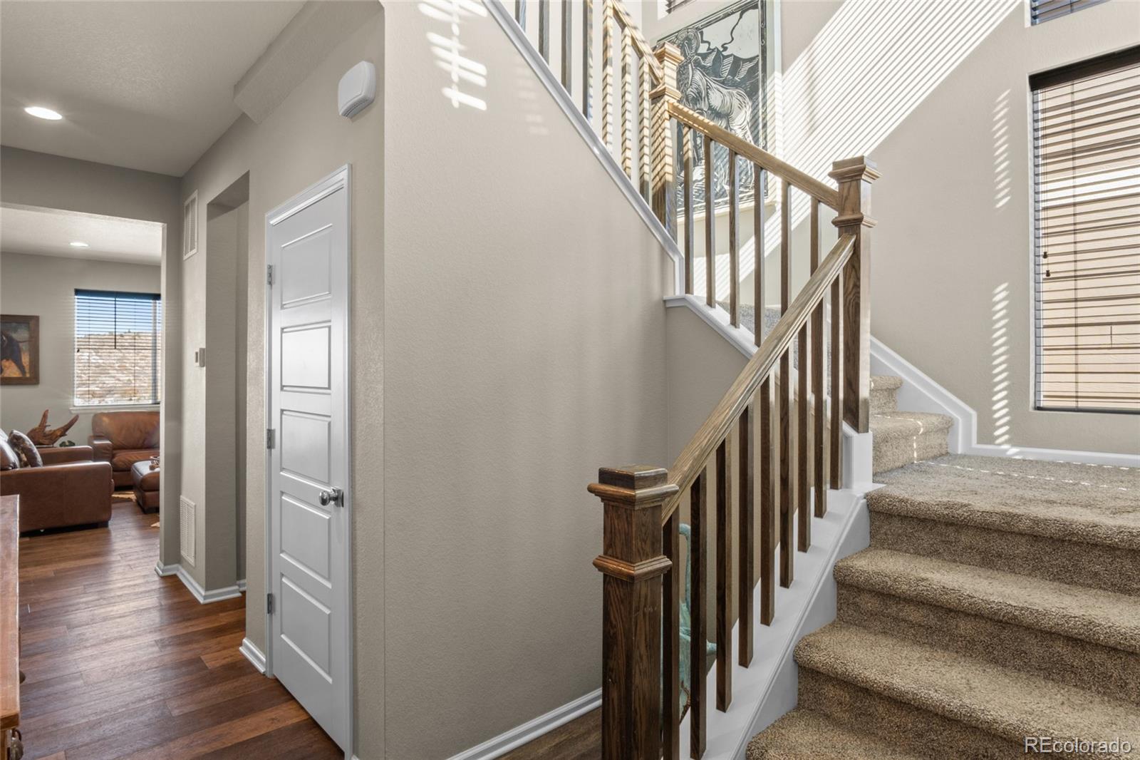 MLS Image #22 for 2579  loon circle,castle rock, Colorado