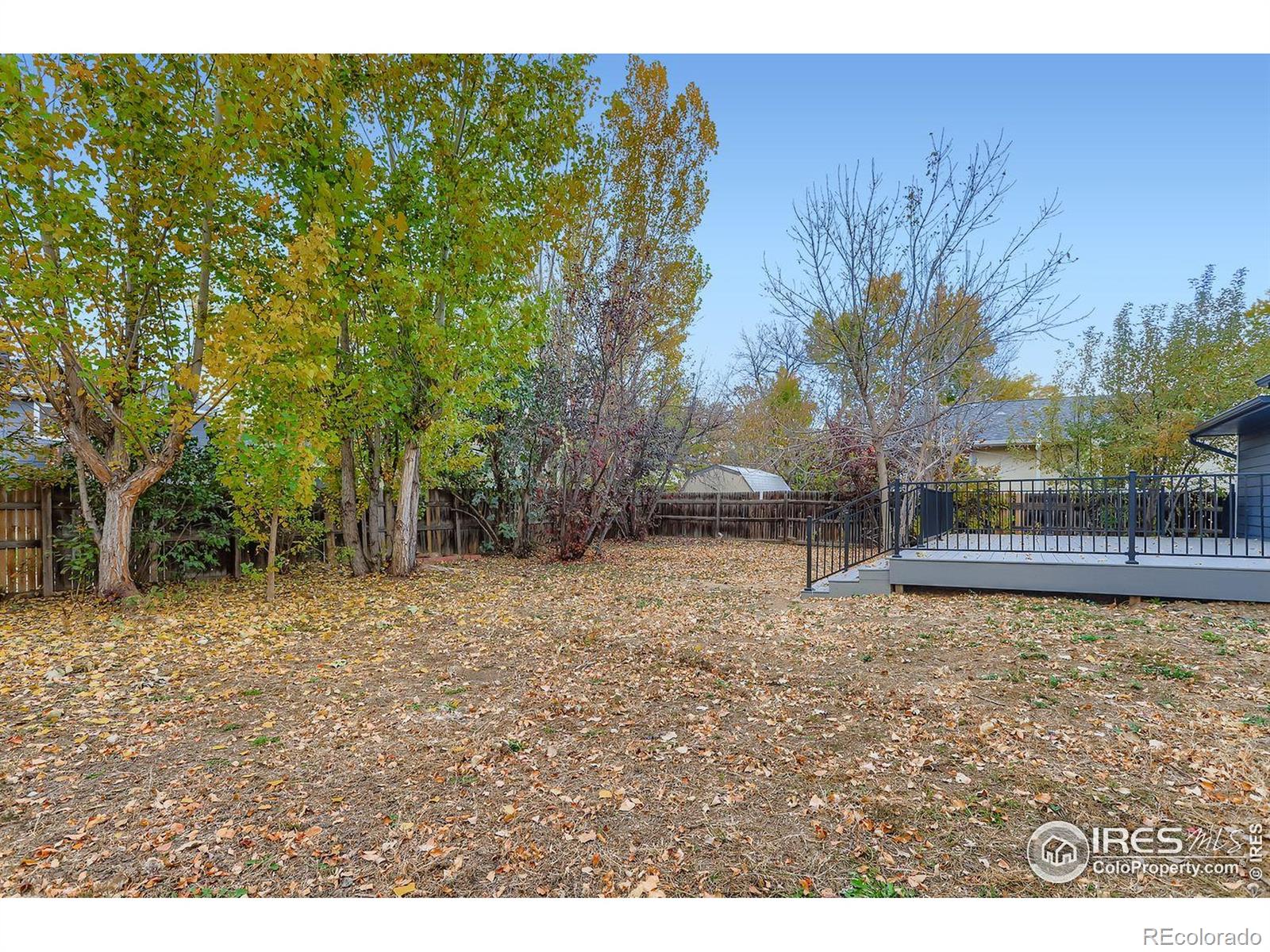 MLS Image #23 for 2339  bowen street,longmont, Colorado