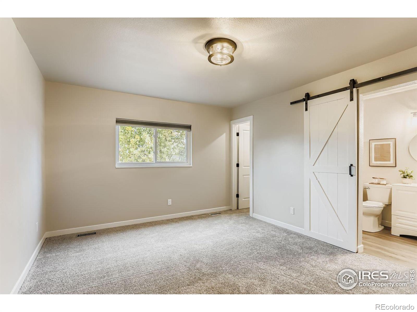 MLS Image #9 for 2339  bowen street,longmont, Colorado