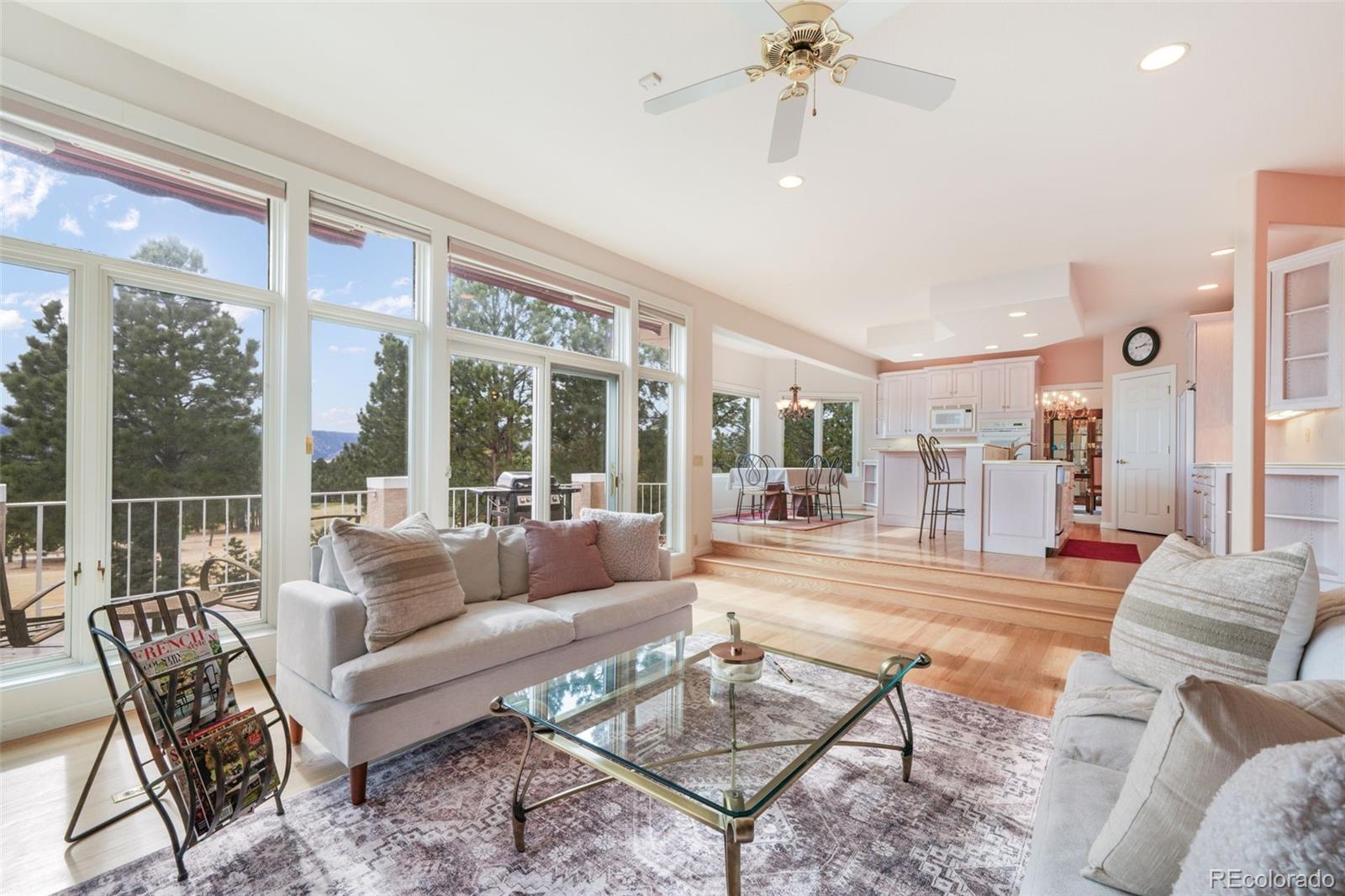 MLS Image #9 for 275  tam o shanter way,monument, Colorado