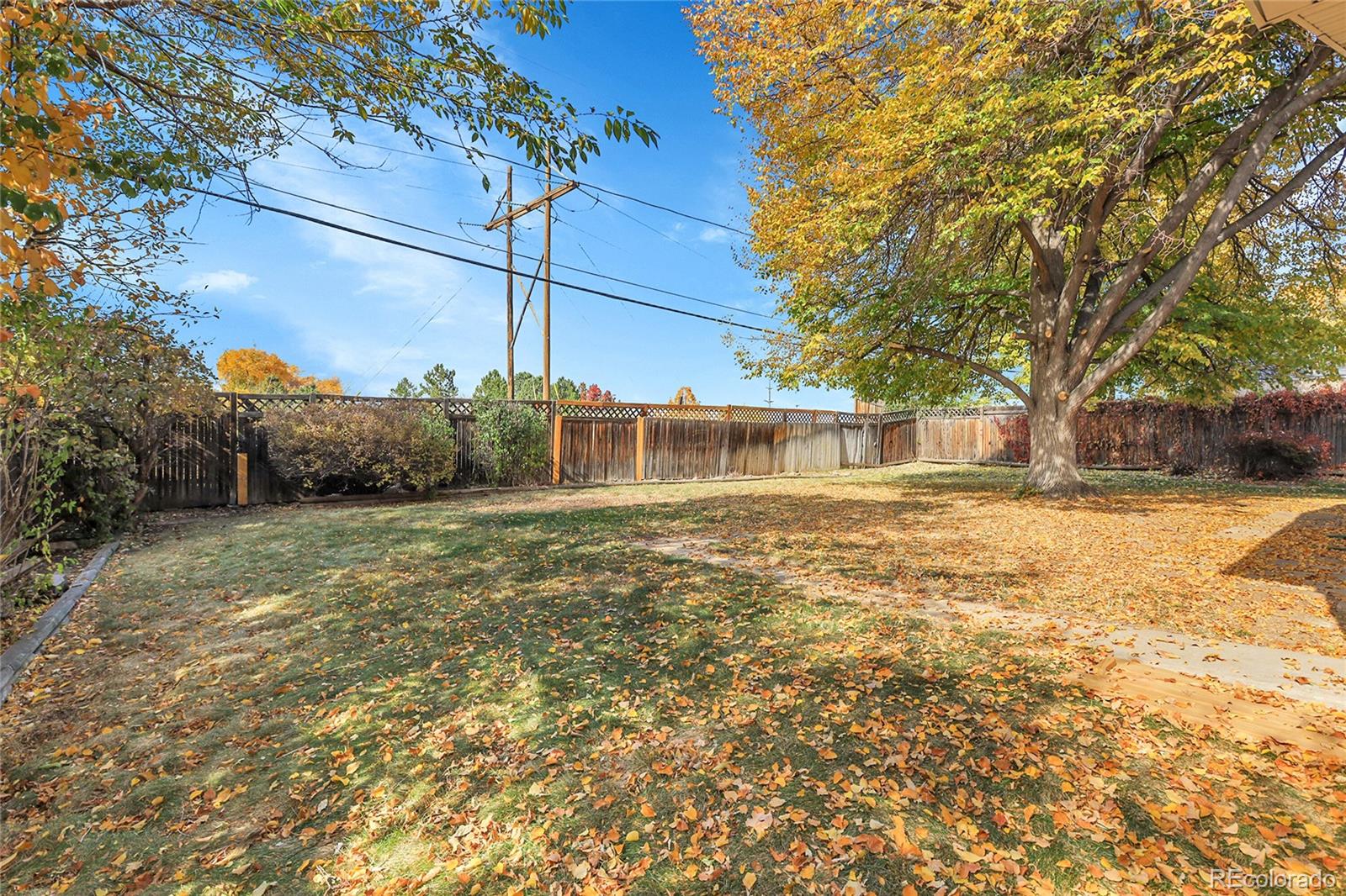 MLS Image #39 for 881  oak street,lakewood, Colorado
