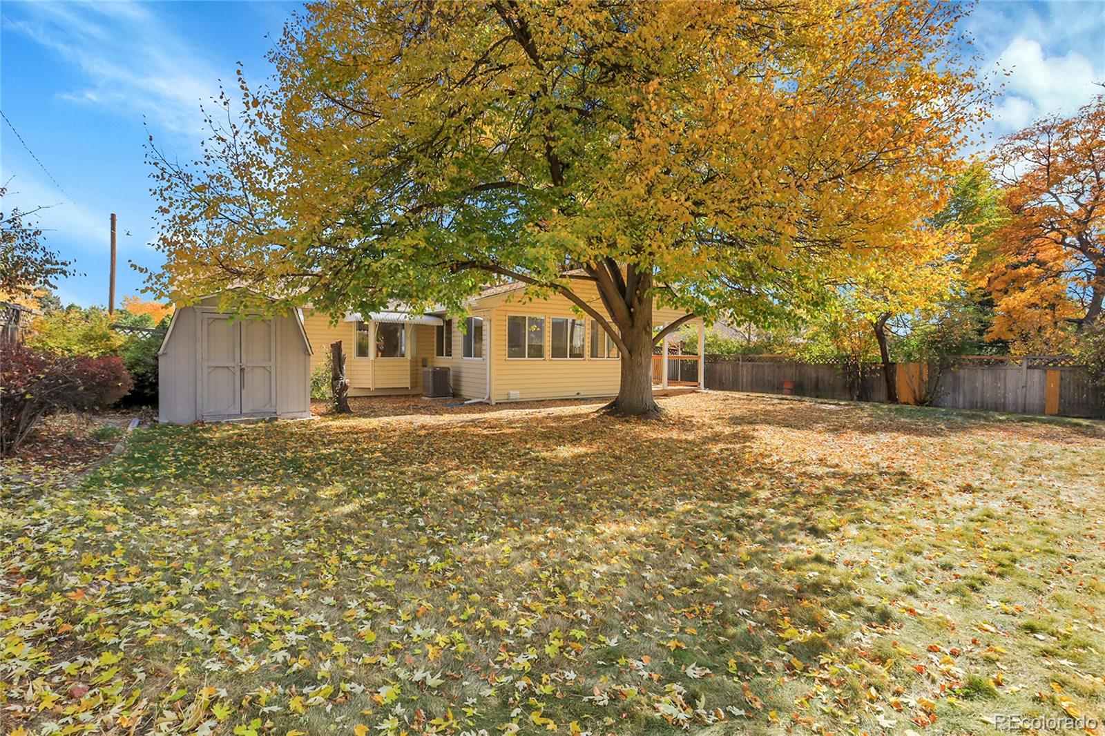 MLS Image #43 for 881  oak street,lakewood, Colorado