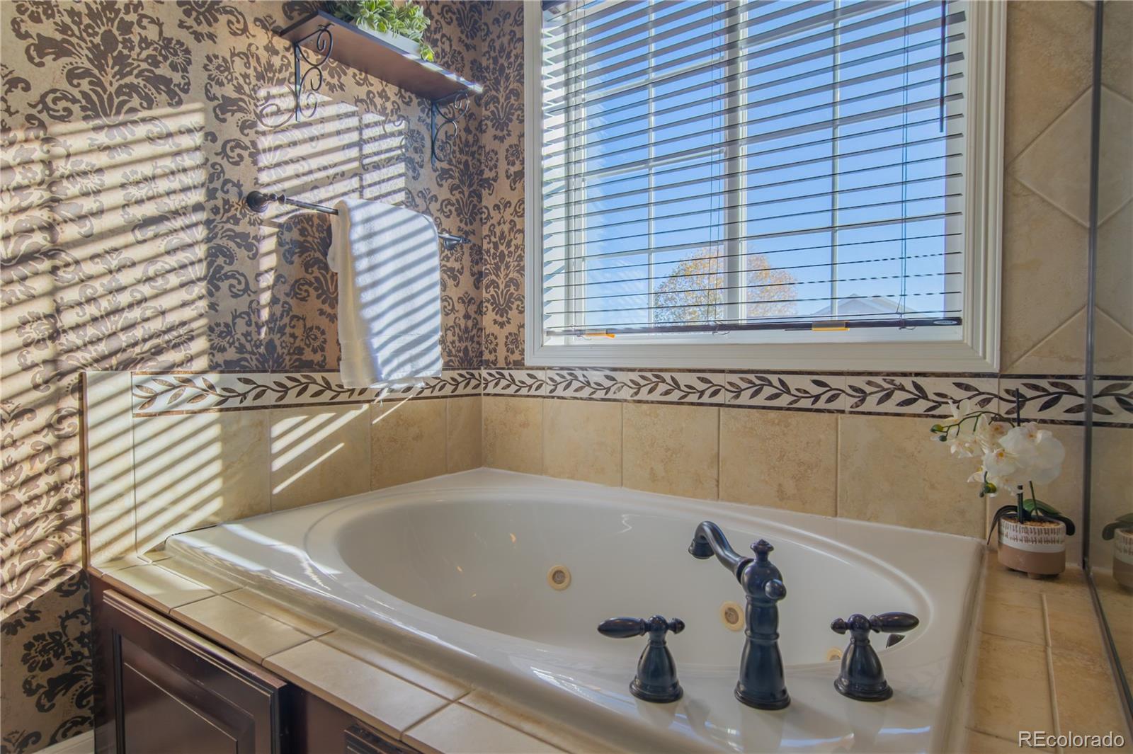 MLS Image #20 for 8143  silver birch drive,colorado springs, Colorado
