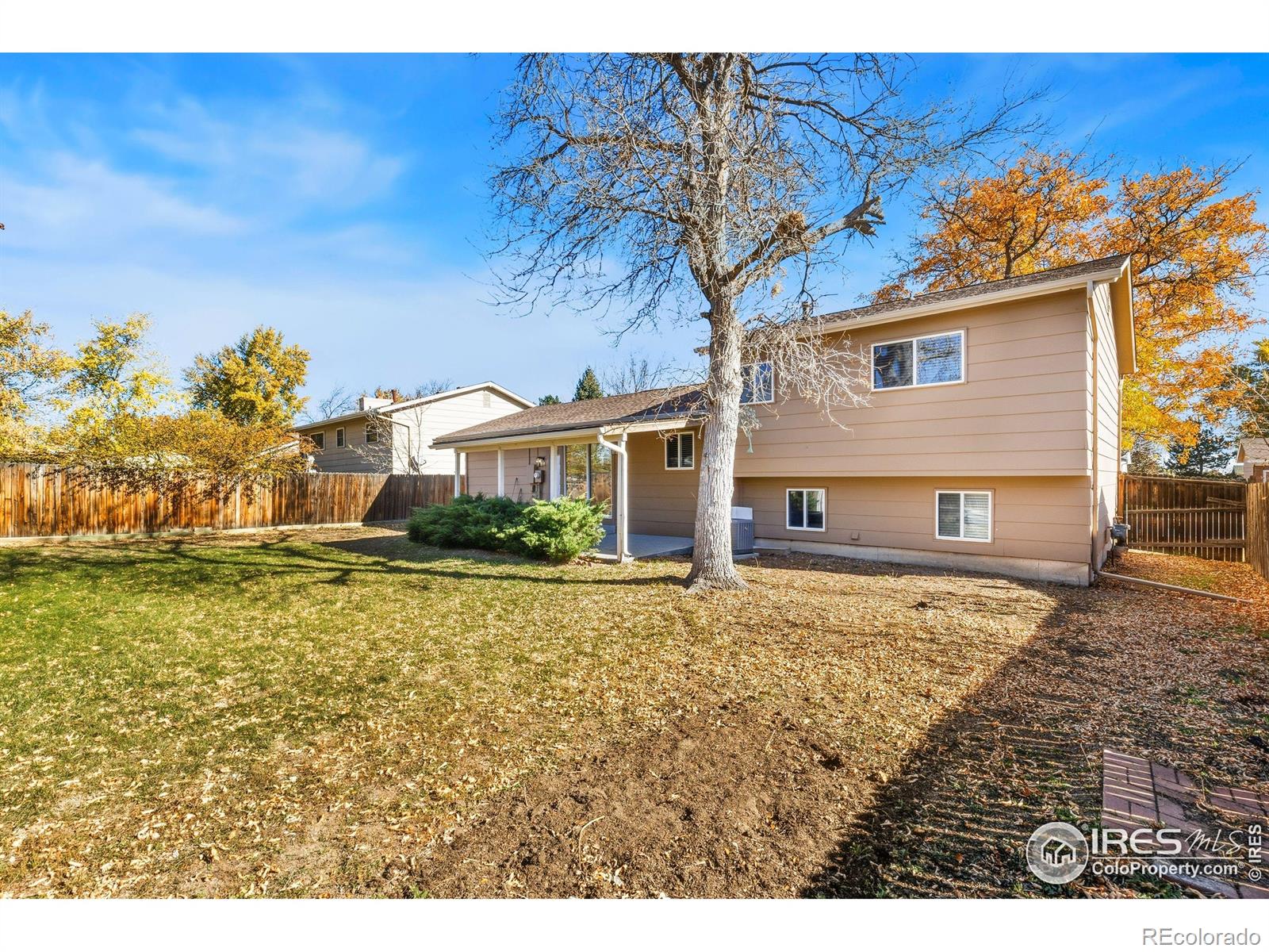 MLS Image #9 for 1723  elmwood street,broomfield, Colorado