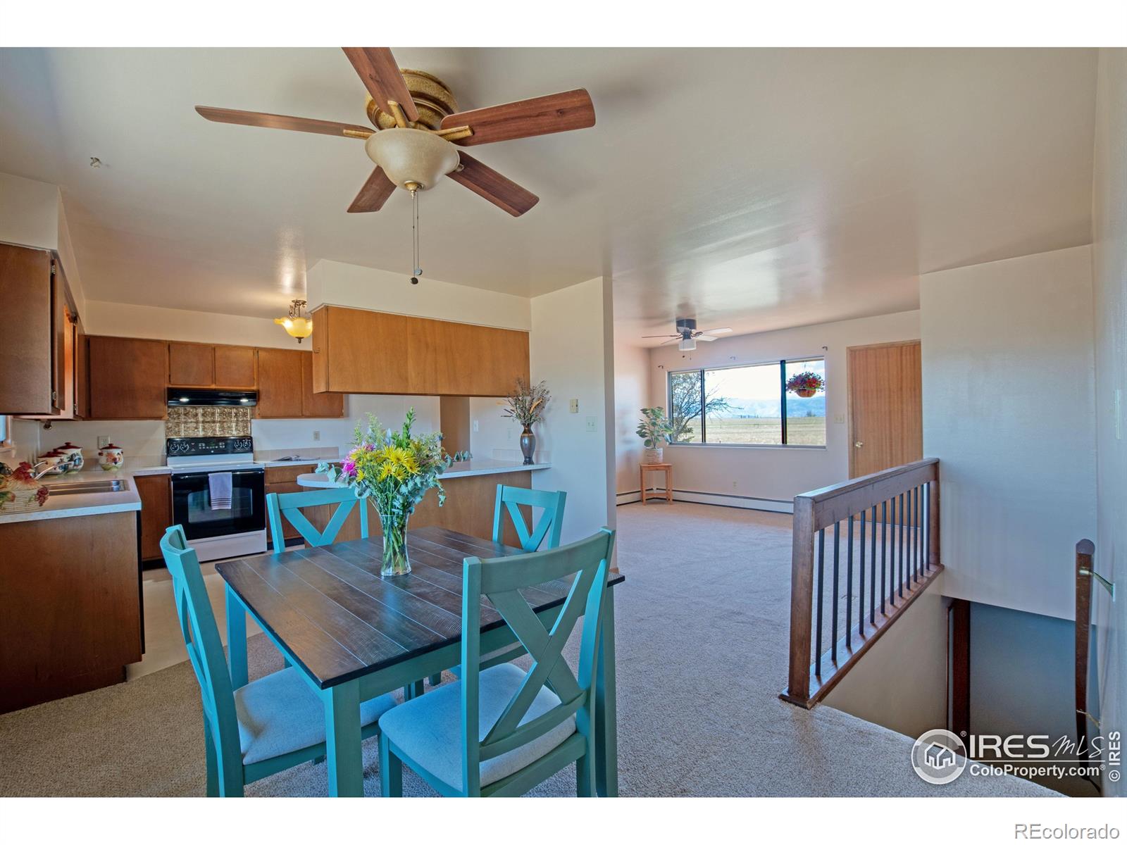 MLS Image #9 for 6808  lavina drive,fort collins, Colorado