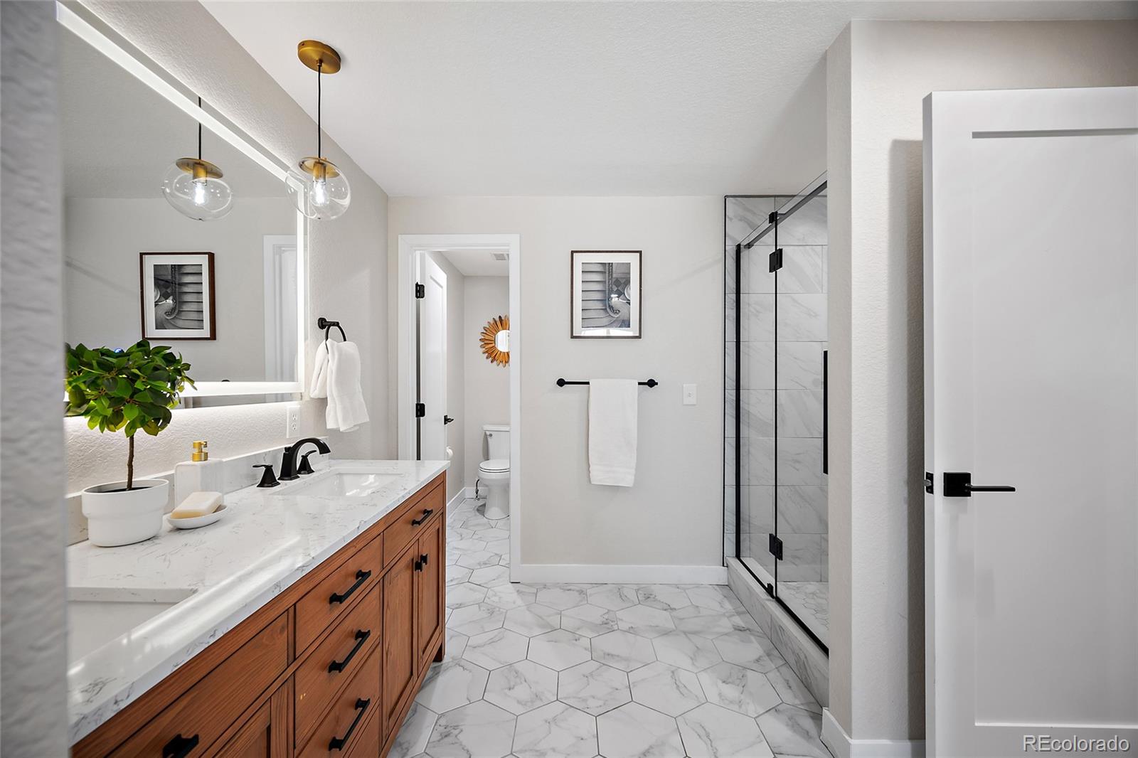 MLS Image #18 for 3774 s ames street,denver, Colorado