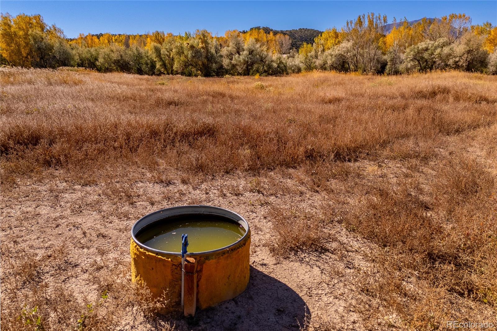 MLS Image #29 for 40  county rd. 541 ,gardner, Colorado