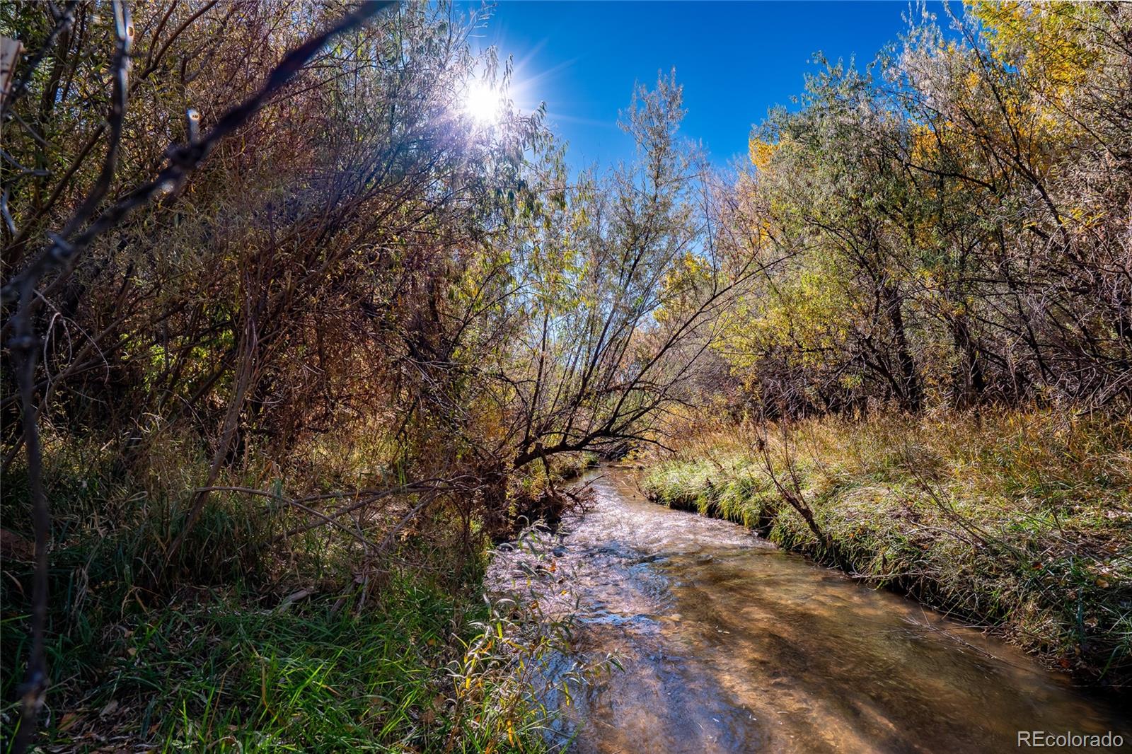 MLS Image #32 for 40  county rd. 541 ,gardner, Colorado
