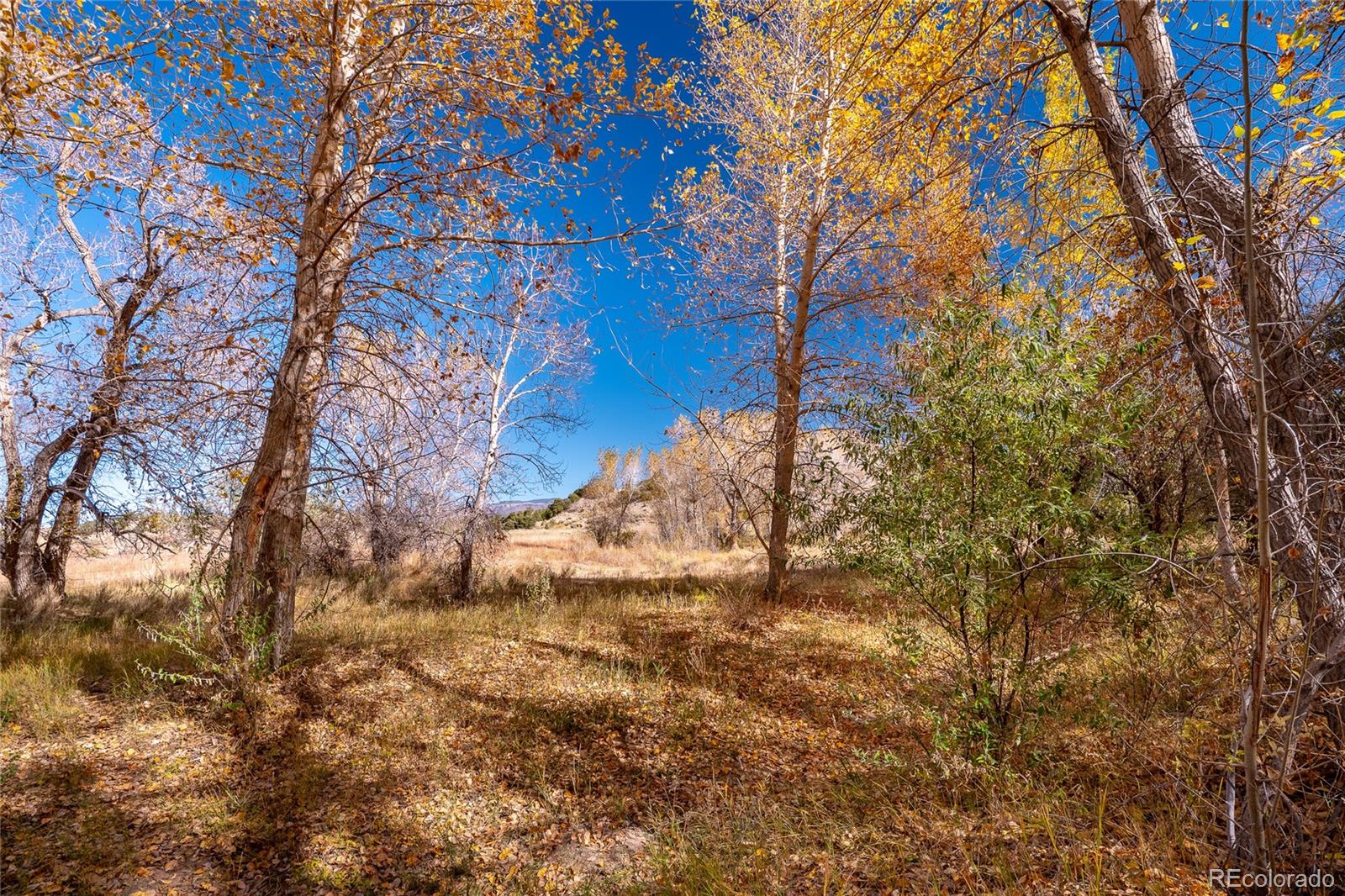 MLS Image #33 for 40  county rd. 541 ,gardner, Colorado