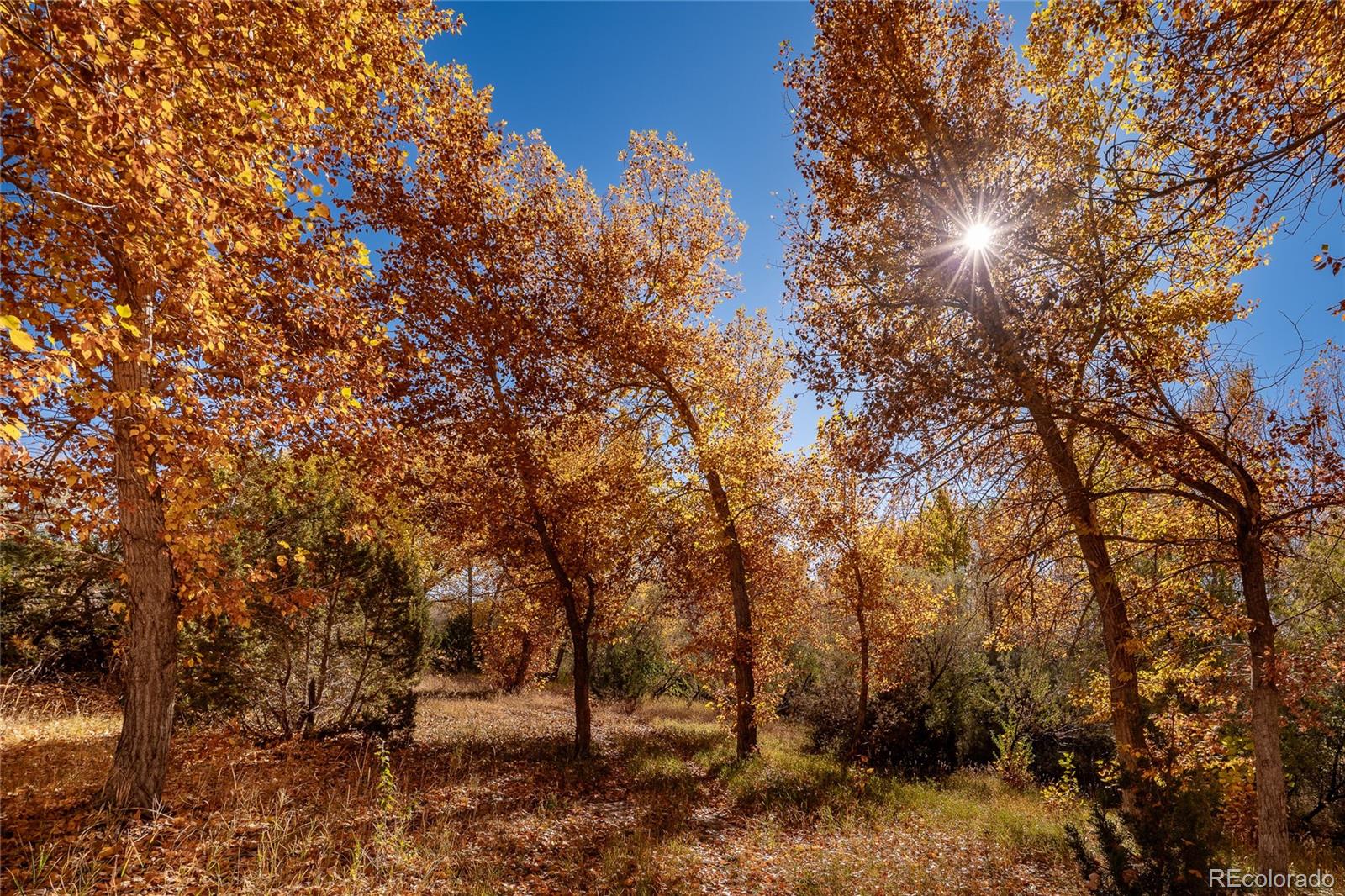 MLS Image #34 for 40  county rd. 541 ,gardner, Colorado