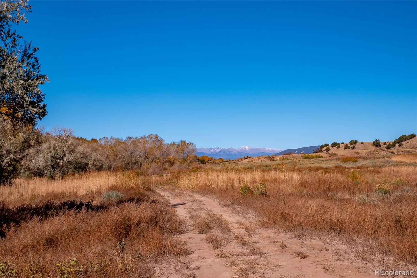 MLS Image #35 for 40  county rd. 541 ,gardner, Colorado