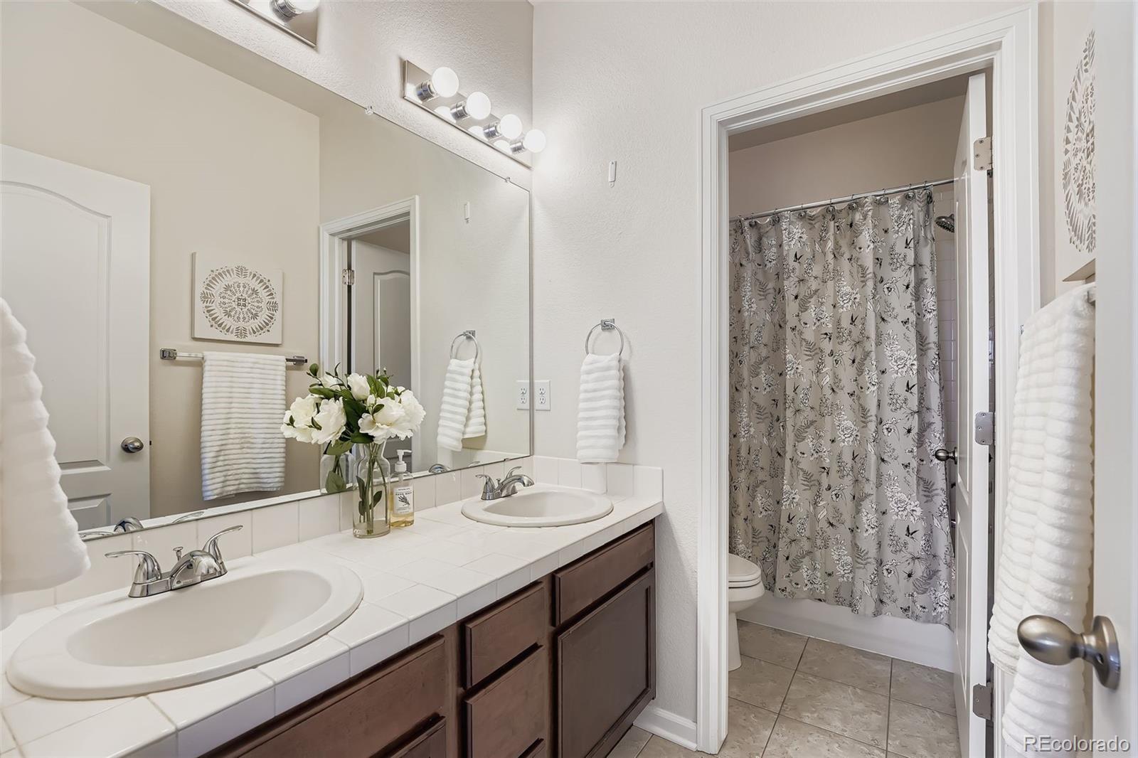 MLS Image #23 for 4645  longs peak street,brighton, Colorado