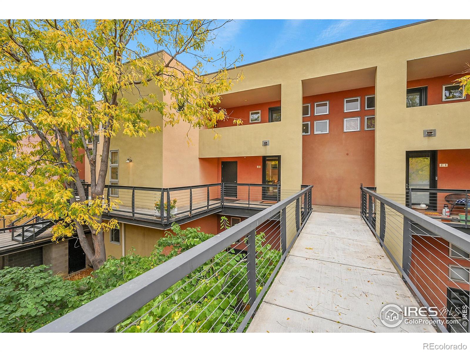 MLS Image #19 for 801  confidence drive,longmont, Colorado