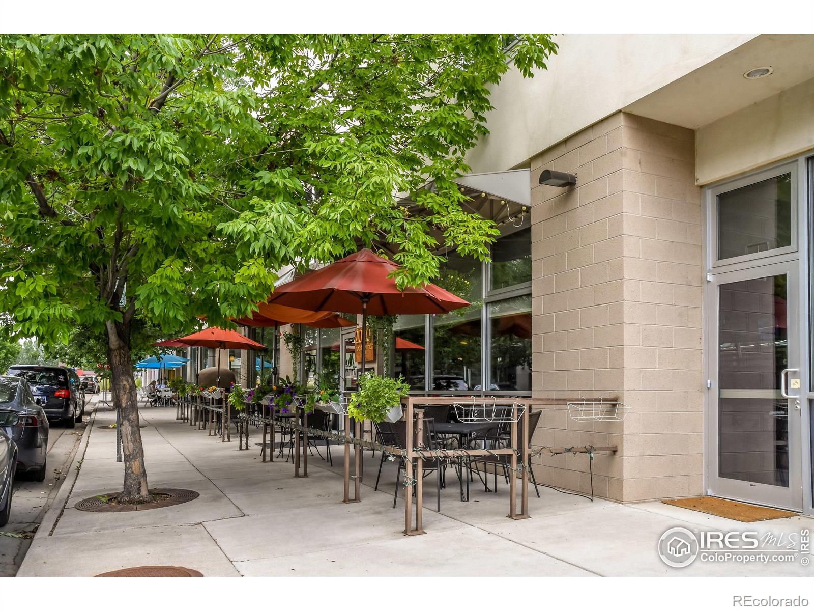 MLS Image #23 for 801  confidence drive,longmont, Colorado