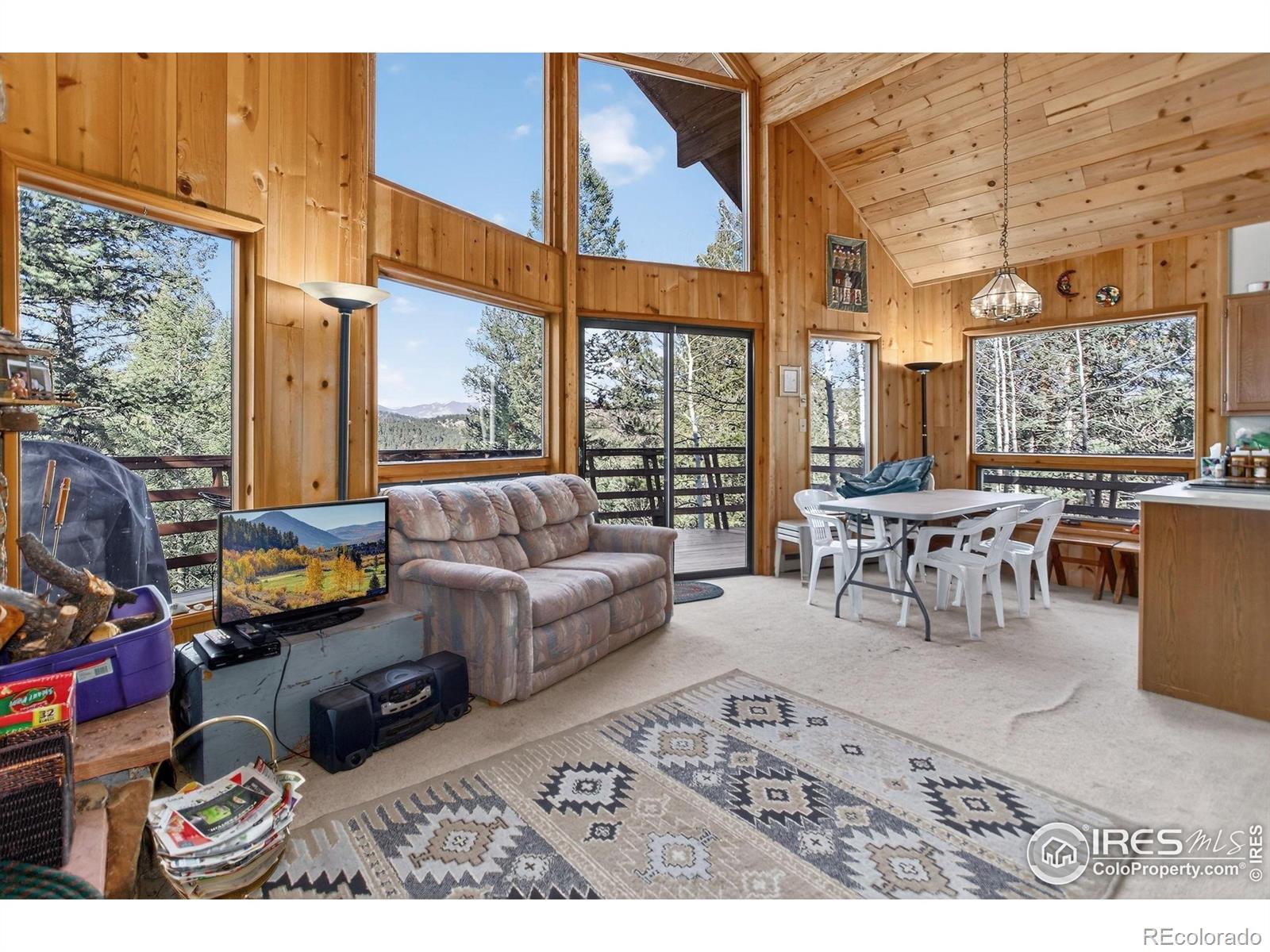MLS Image #11 for 211  hi meadow drive,bailey, Colorado