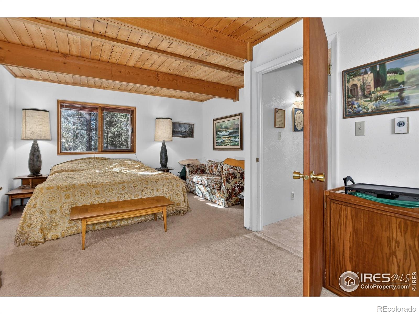 MLS Image #12 for 211  hi meadow drive,bailey, Colorado