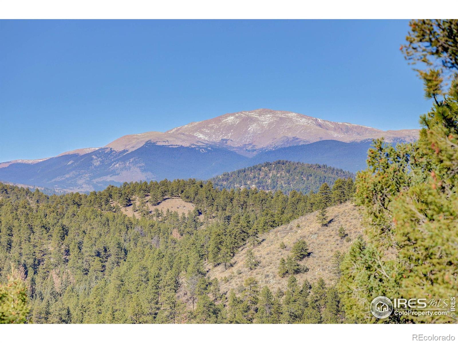MLS Image #17 for 211  hi meadow drive,bailey, Colorado