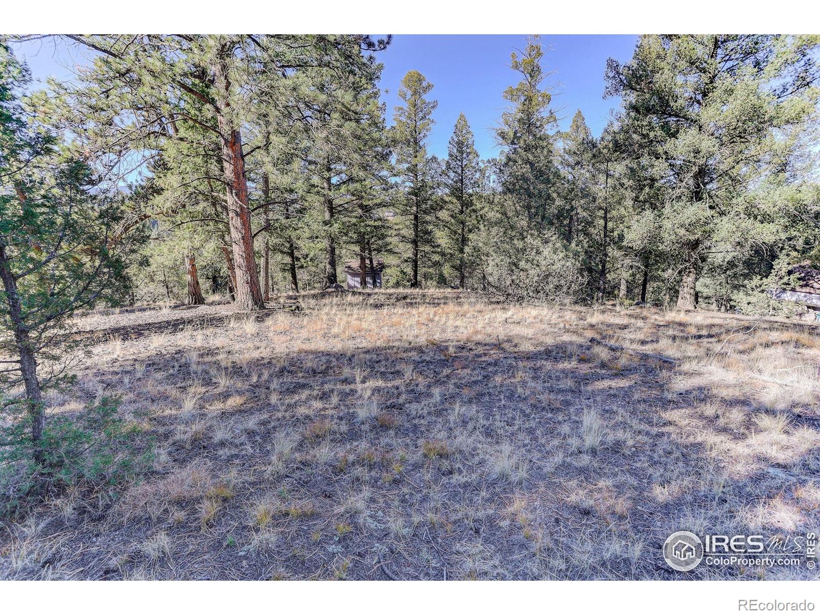 MLS Image #18 for 211  hi meadow drive,bailey, Colorado