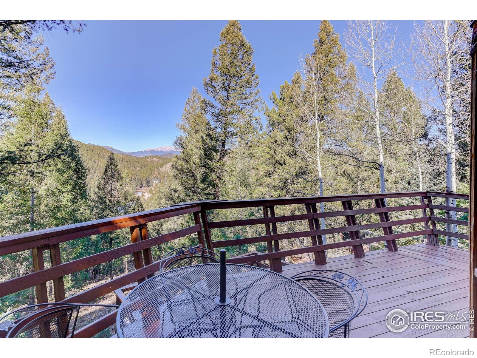 MLS Image #4 for 211  hi meadow drive,bailey, Colorado
