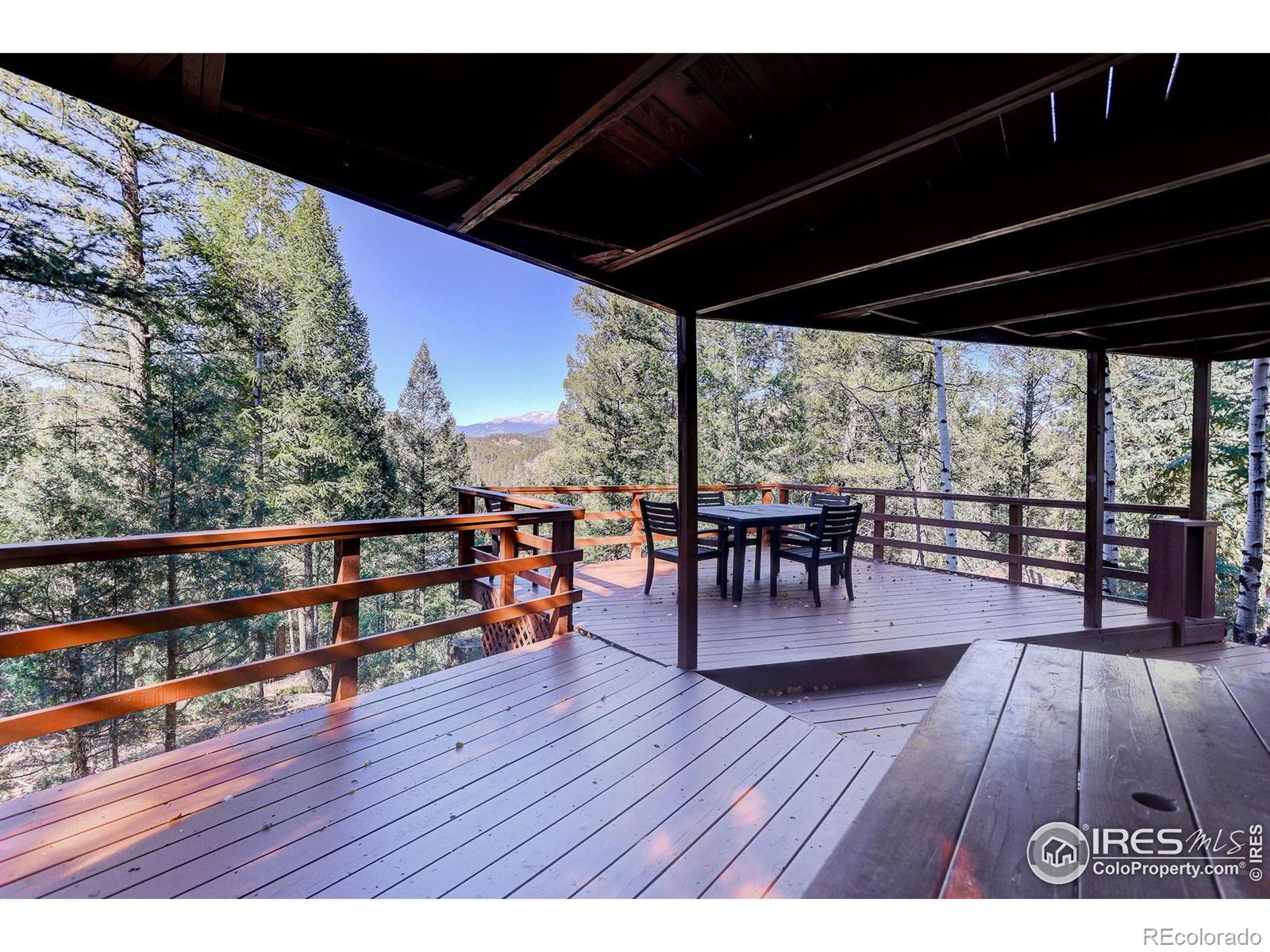 MLS Image #5 for 211  hi meadow drive,bailey, Colorado