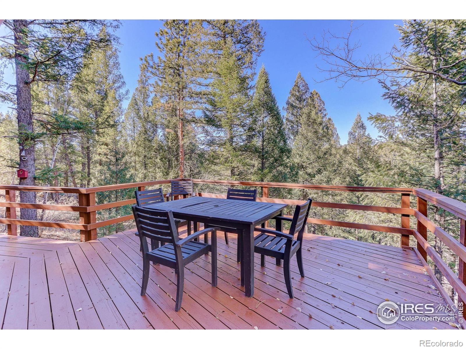 MLS Image #6 for 211  hi meadow drive,bailey, Colorado