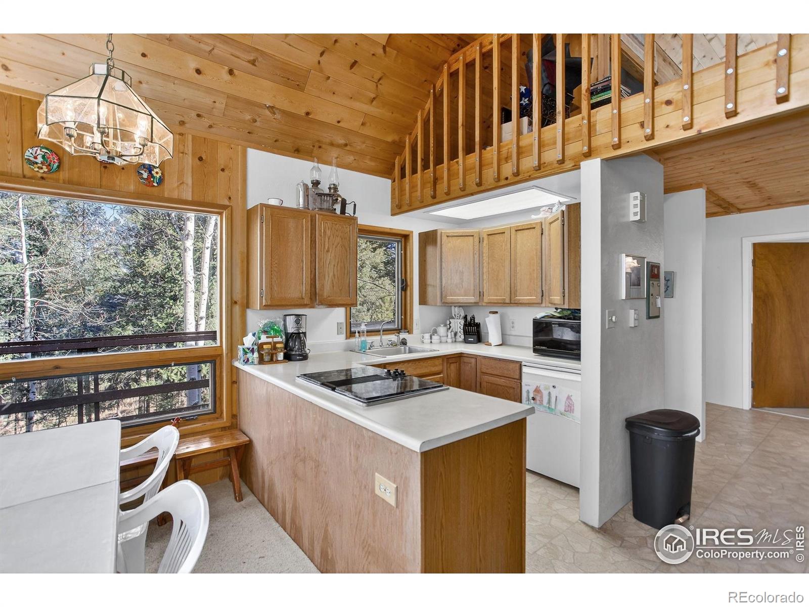 MLS Image #7 for 211  hi meadow drive,bailey, Colorado