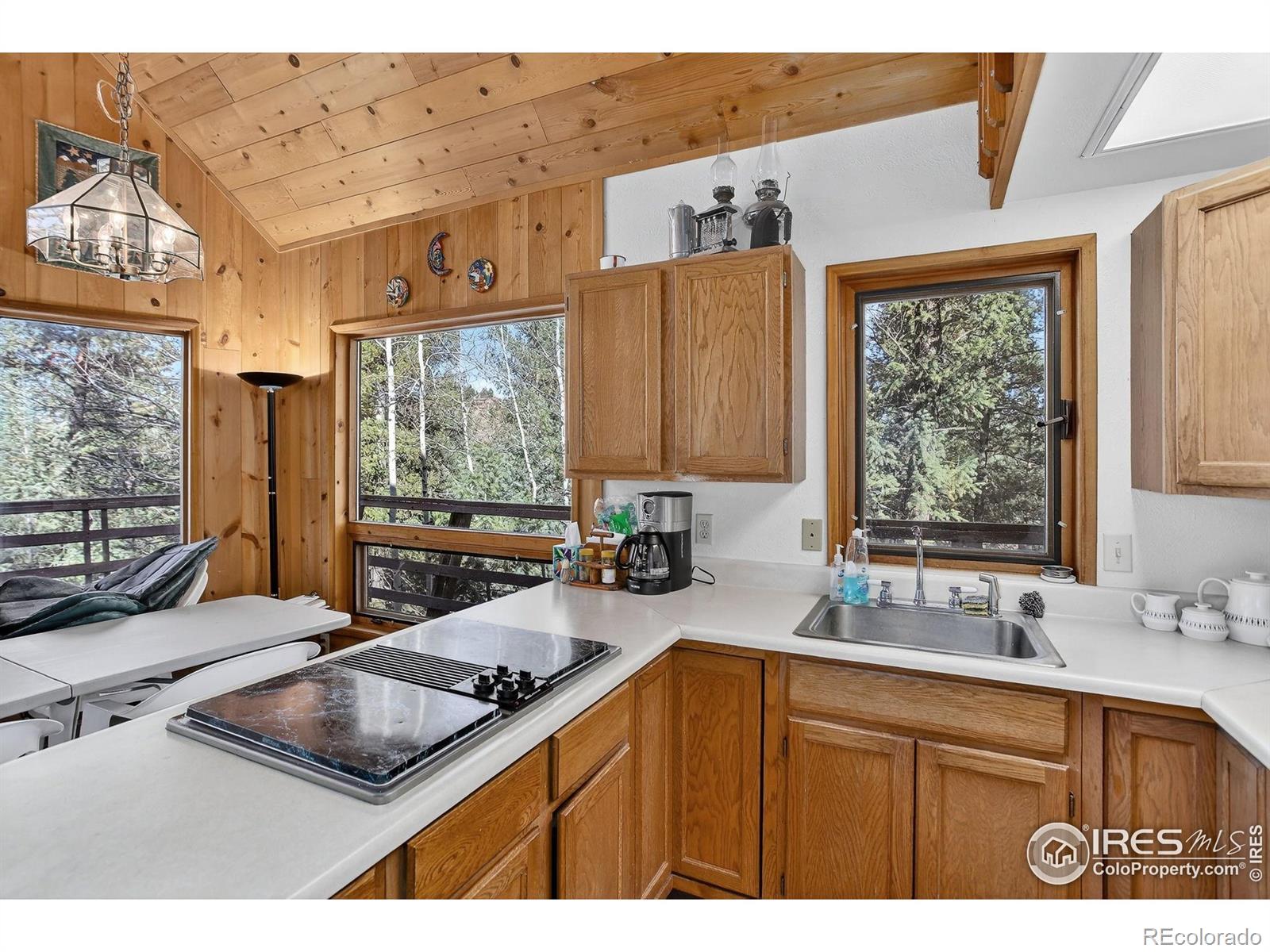 MLS Image #8 for 211  hi meadow drive,bailey, Colorado