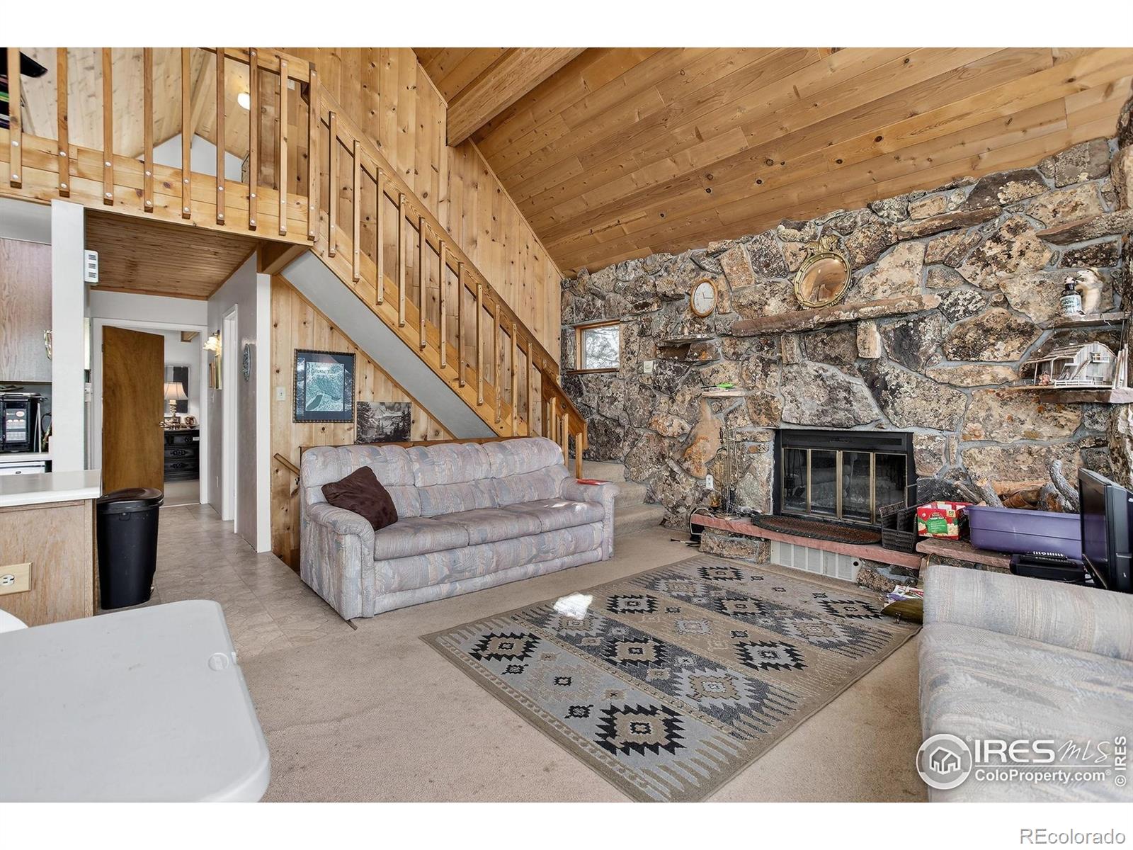 MLS Image #9 for 211  hi meadow drive,bailey, Colorado
