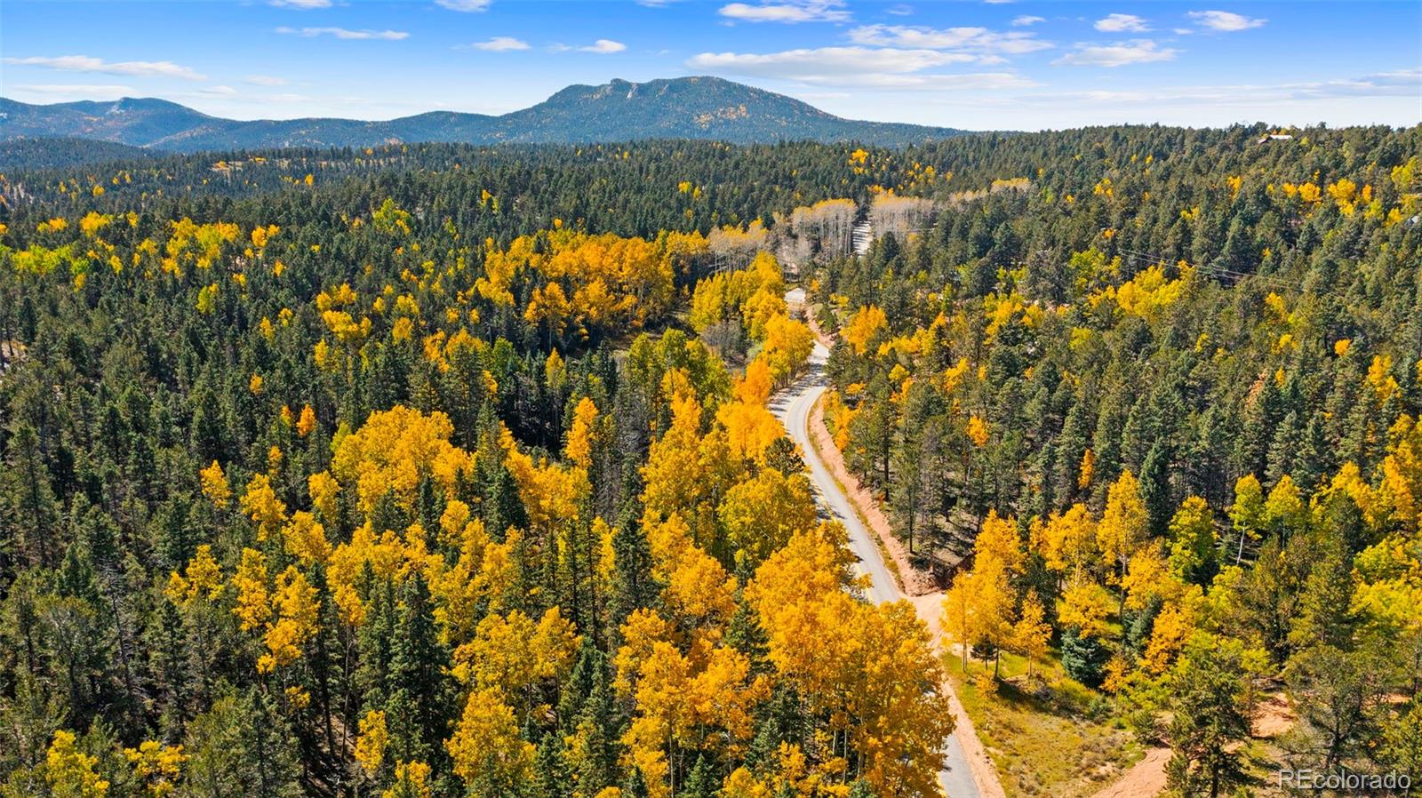 MLS Image #1 for 2558  cr 28 ,woodland park, Colorado