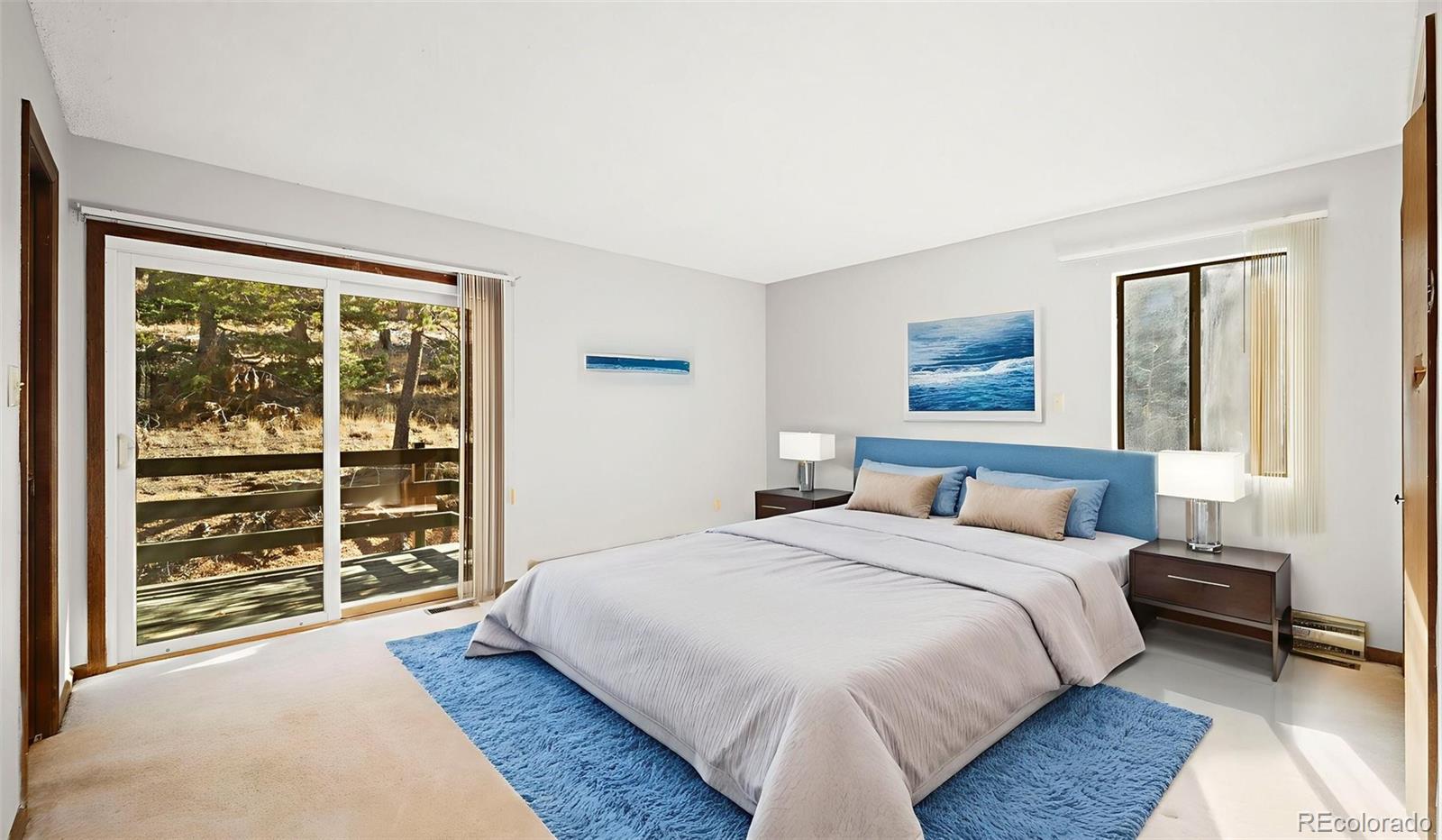MLS Image #17 for 2558  cr 28 ,woodland park, Colorado