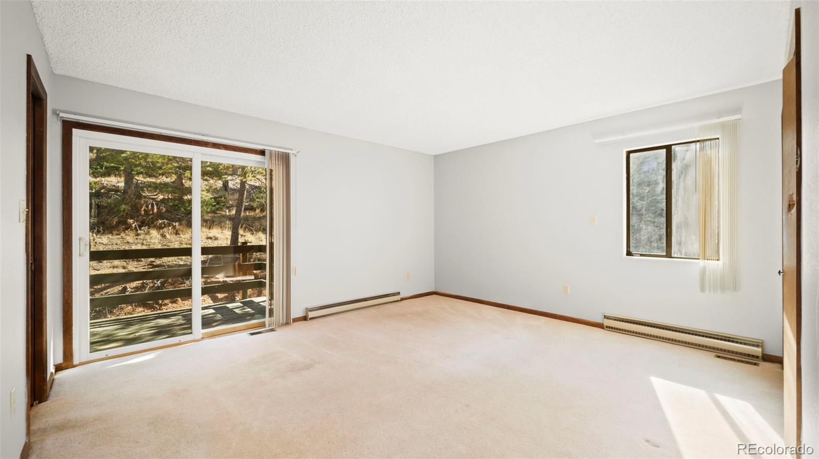 MLS Image #18 for 2558  cr 28 ,woodland park, Colorado