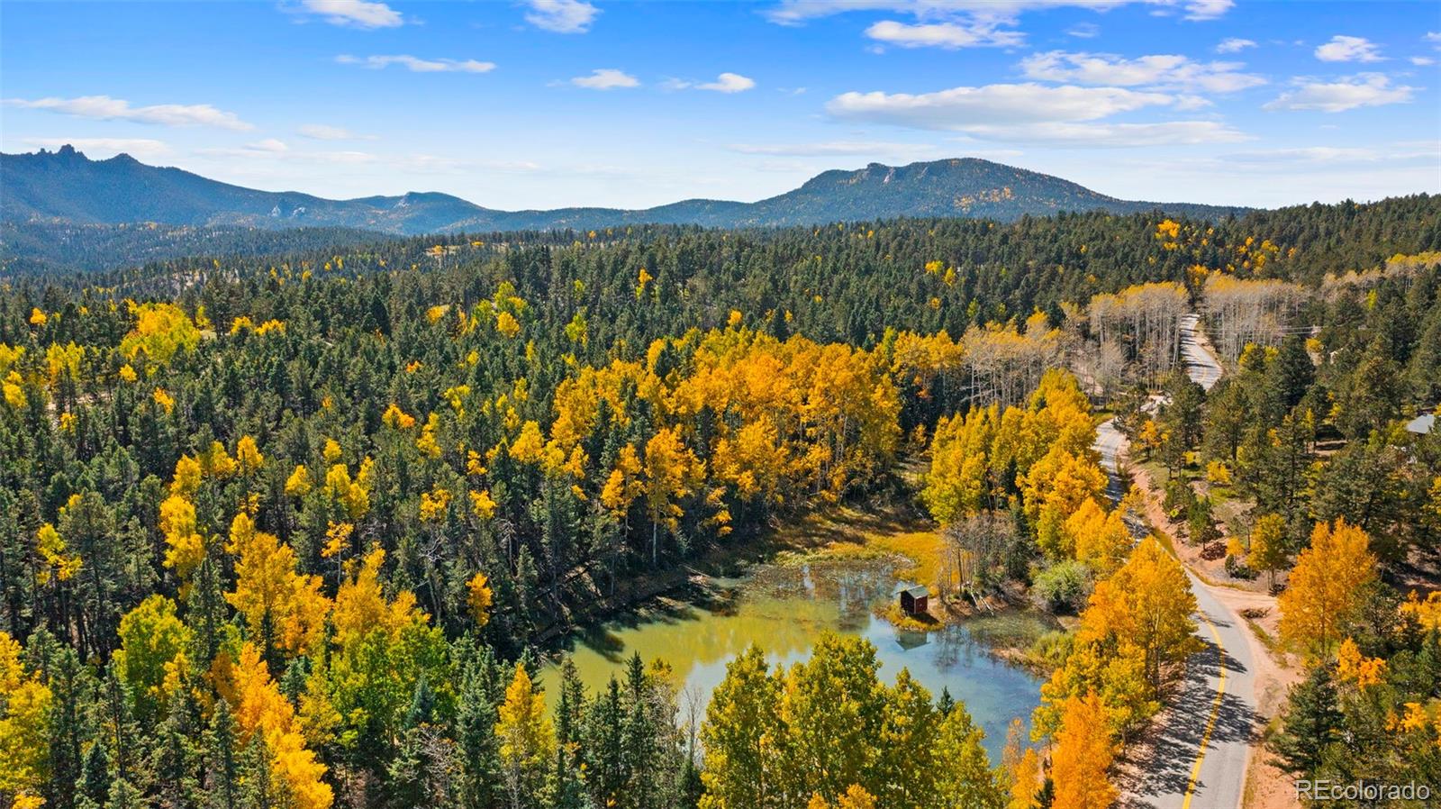 MLS Image #2 for 2558  cr 28 ,woodland park, Colorado