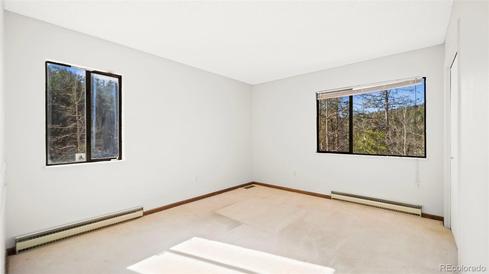 MLS Image #21 for 2558  cr 28 ,woodland park, Colorado