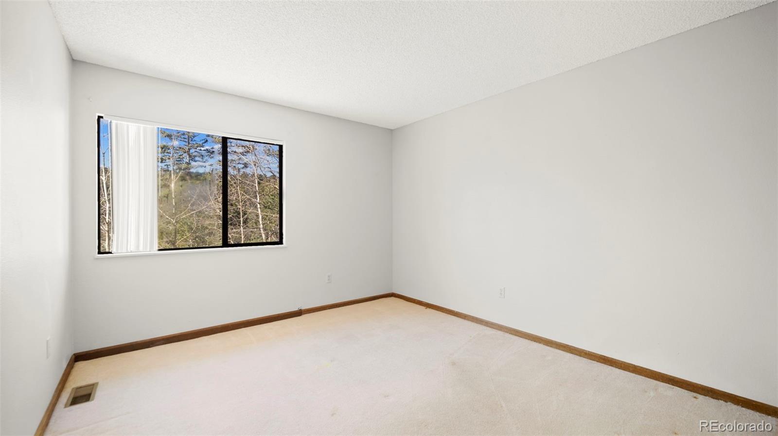 MLS Image #22 for 2558  cr 28 ,woodland park, Colorado