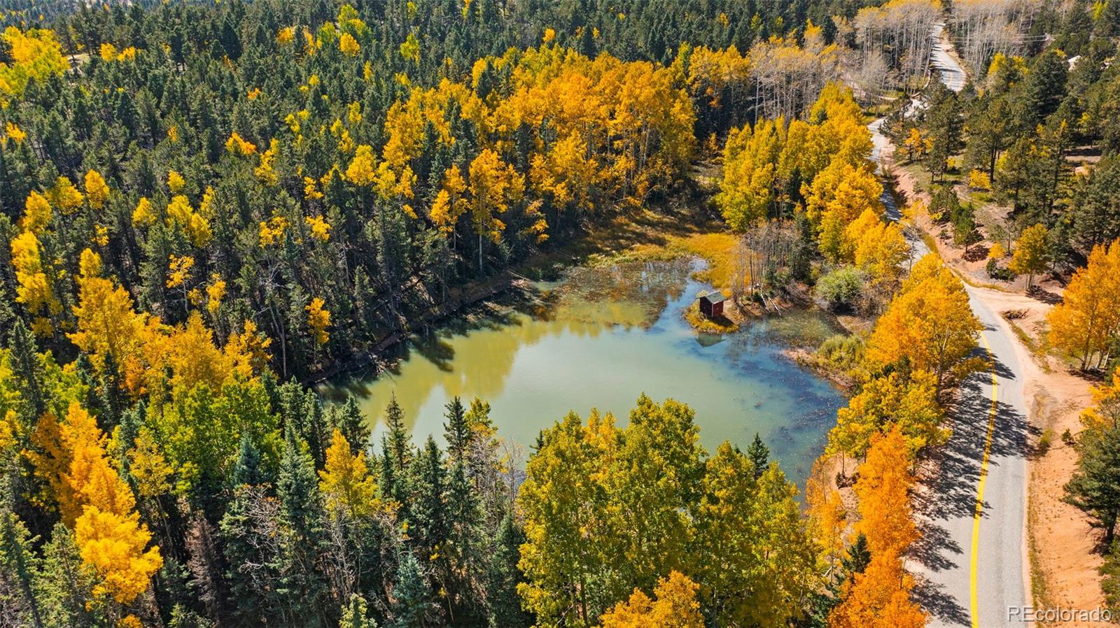 MLS Image #3 for 2558  cr 28 ,woodland park, Colorado
