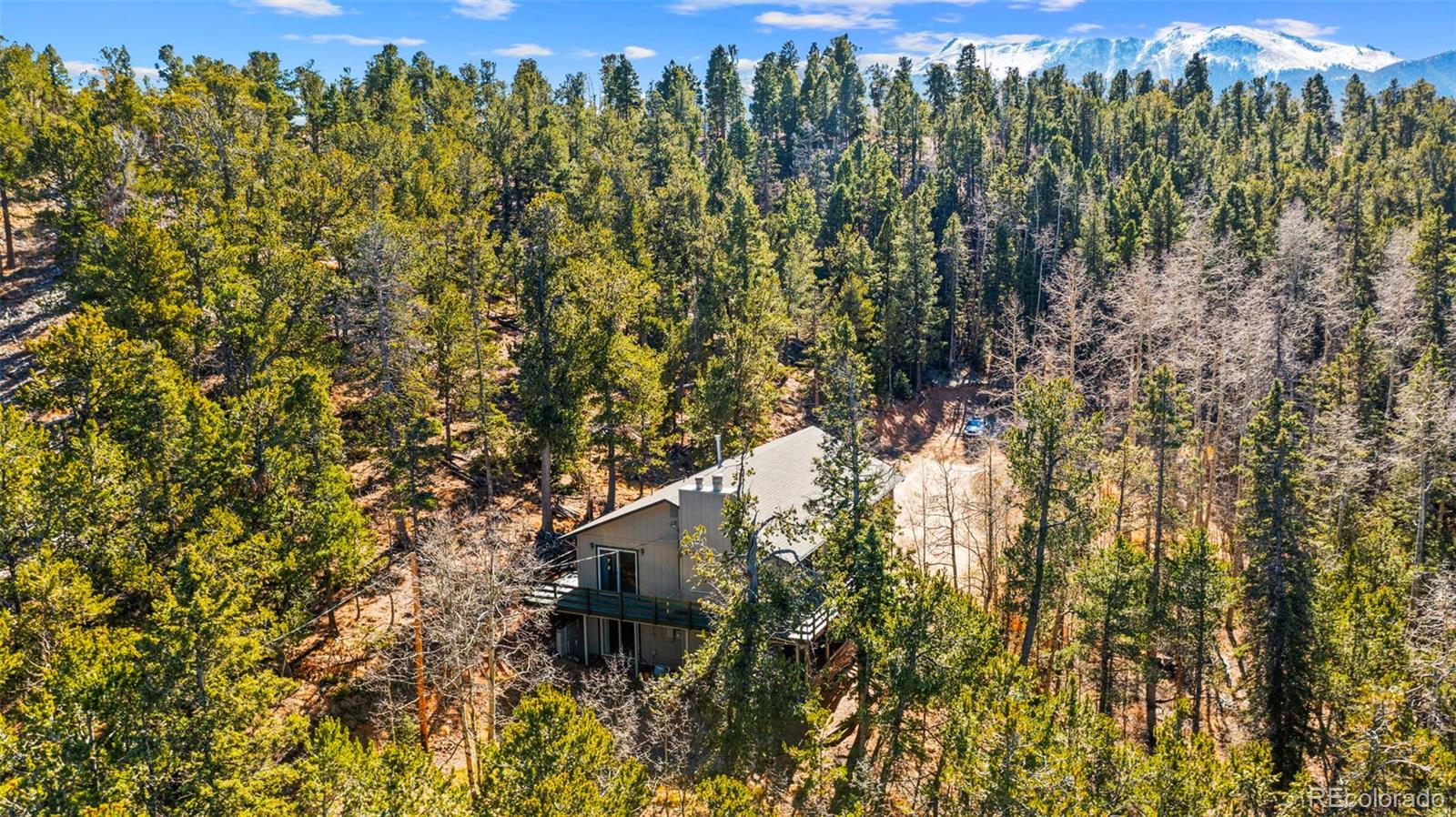 MLS Image #31 for 2558  cr 28 ,woodland park, Colorado