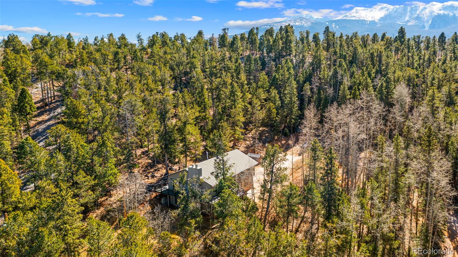 MLS Image #32 for 2558  cr 28 ,woodland park, Colorado