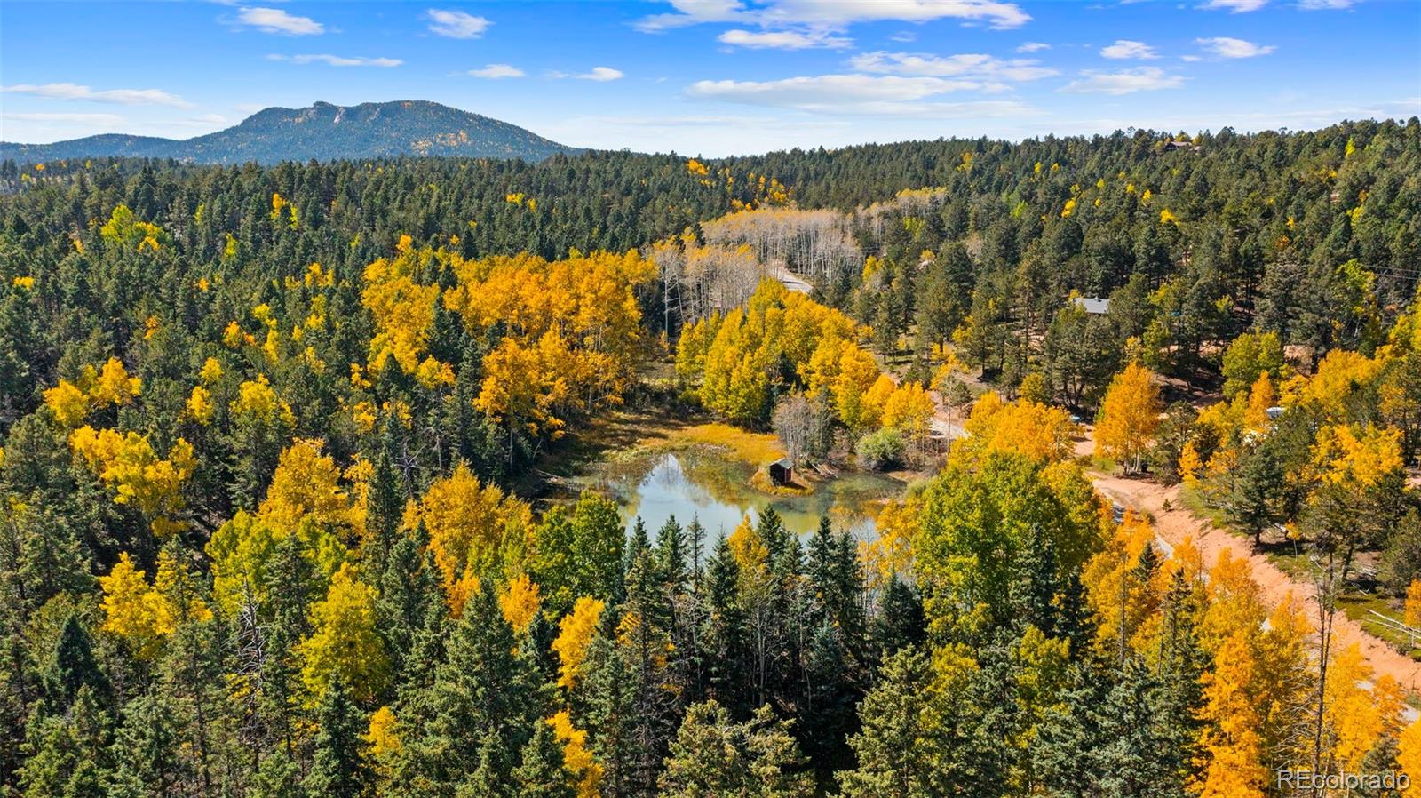 MLS Image #34 for 2558  cr 28 ,woodland park, Colorado