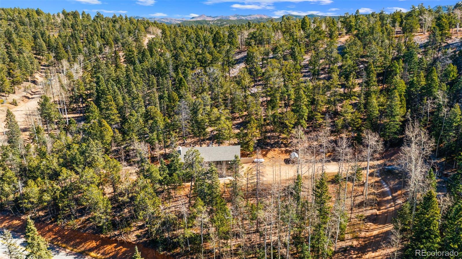 MLS Image #35 for 2558  cr 28 ,woodland park, Colorado