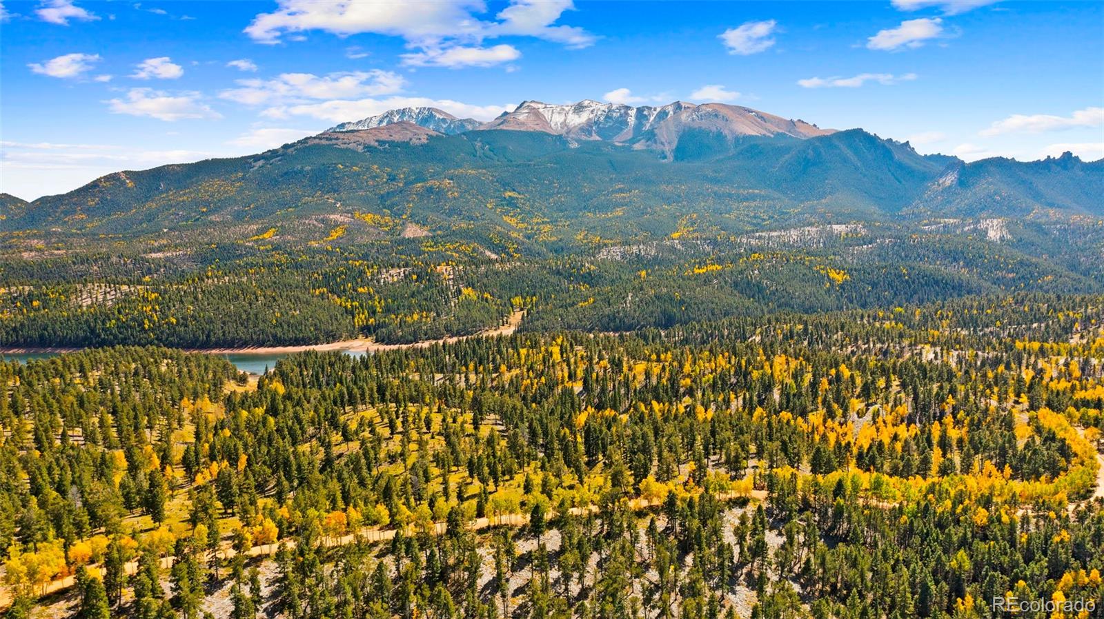 MLS Image #36 for 2558  cr 28 ,woodland park, Colorado
