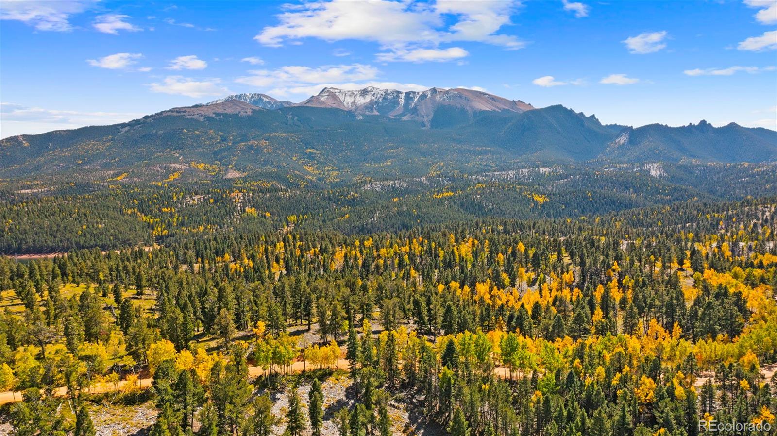 MLS Image #37 for 2558  cr 28 ,woodland park, Colorado