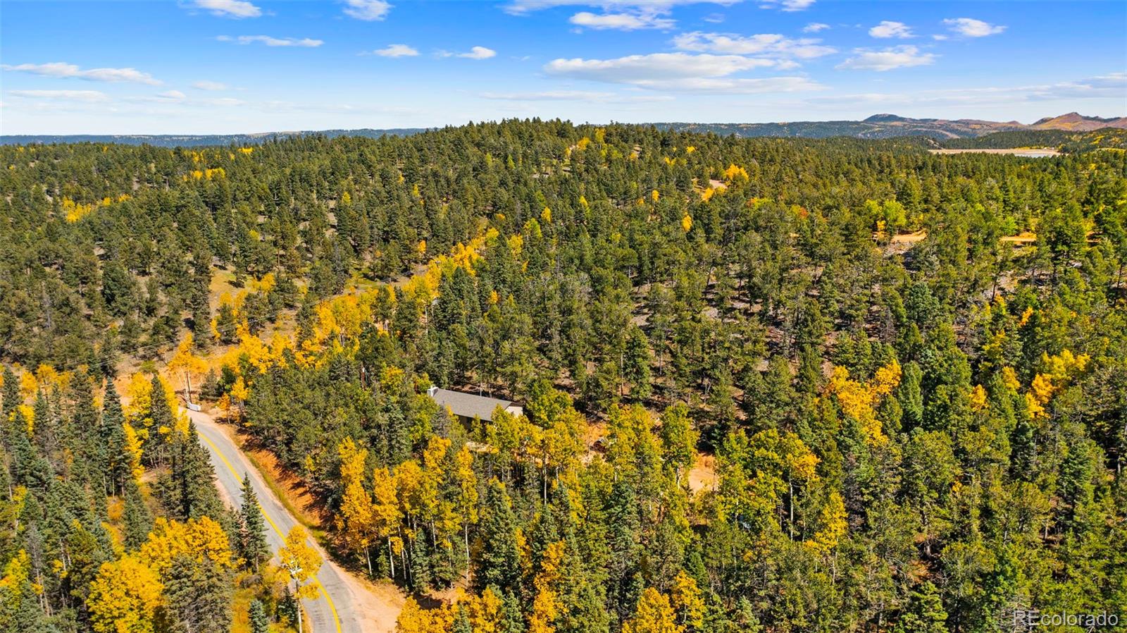 MLS Image #38 for 2558  cr 28 ,woodland park, Colorado