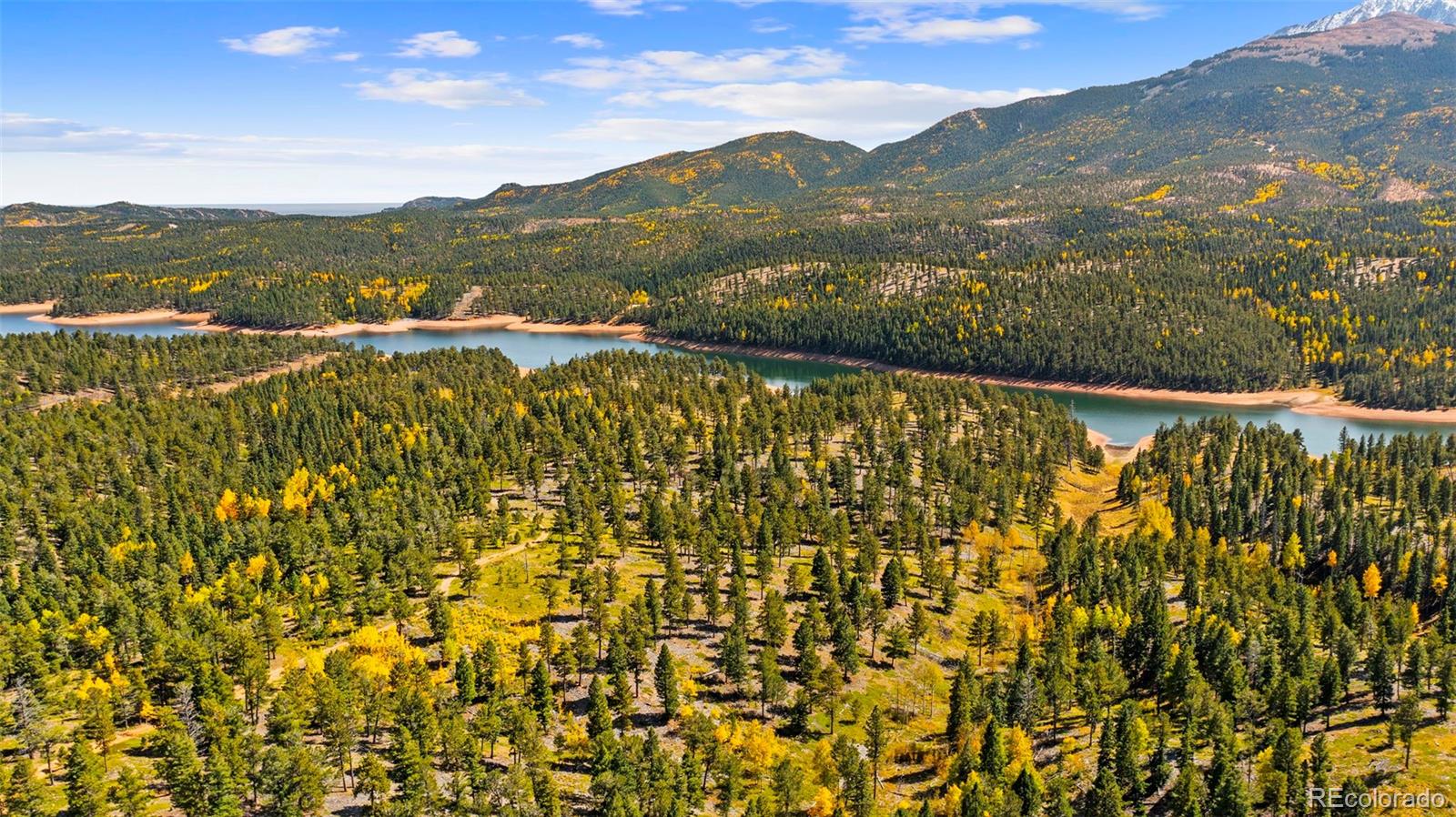 MLS Image #39 for 2558  cr 28 ,woodland park, Colorado