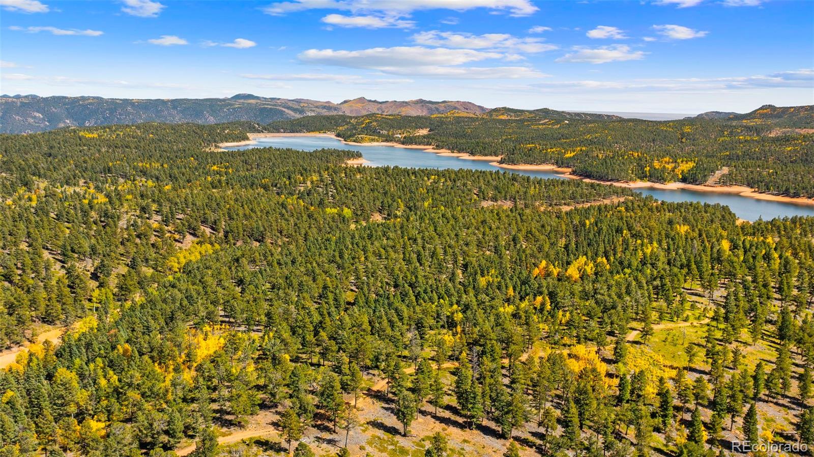 MLS Image #40 for 2558  cr 28 ,woodland park, Colorado
